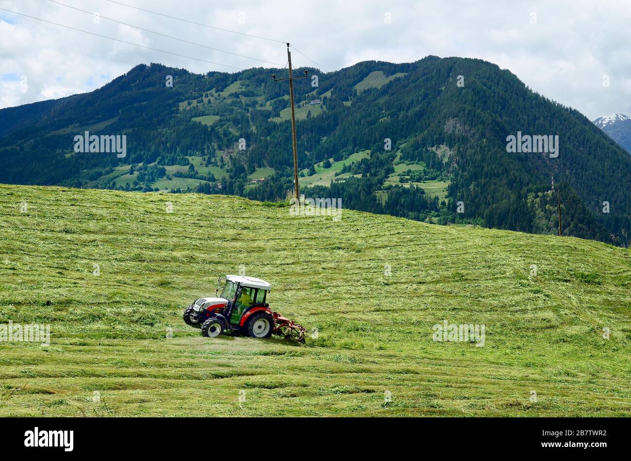 Austria, agricoltore su trattore per raccolto di fieno su alpeggi in Tirolo Foto Stock