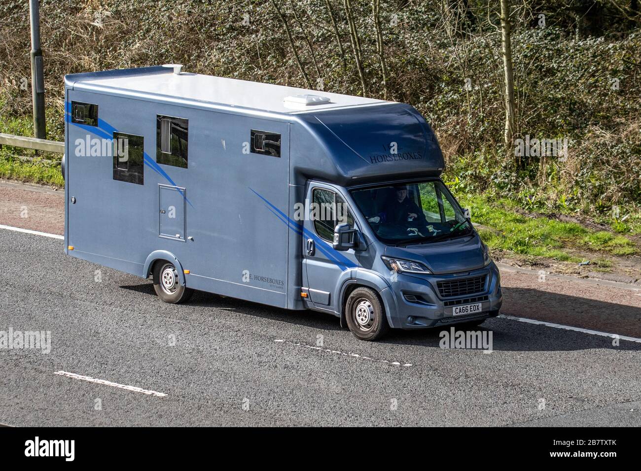 I.C.E. Crine box, Peugeot Boxer 435 PRO L4H2 Blue H, crine van; coach built conversione. Trasporto di animali sull'autostrada M6, Lancashire, Regno Unito, autostrada M6, Foto Stock