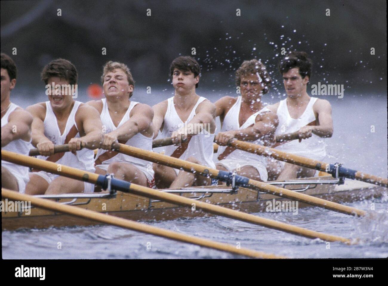 Austin Texas USA: Squadra di equipaggio maschile che gareggia nella regata di canottaggio. ©Bob Daemmrich Foto Stock