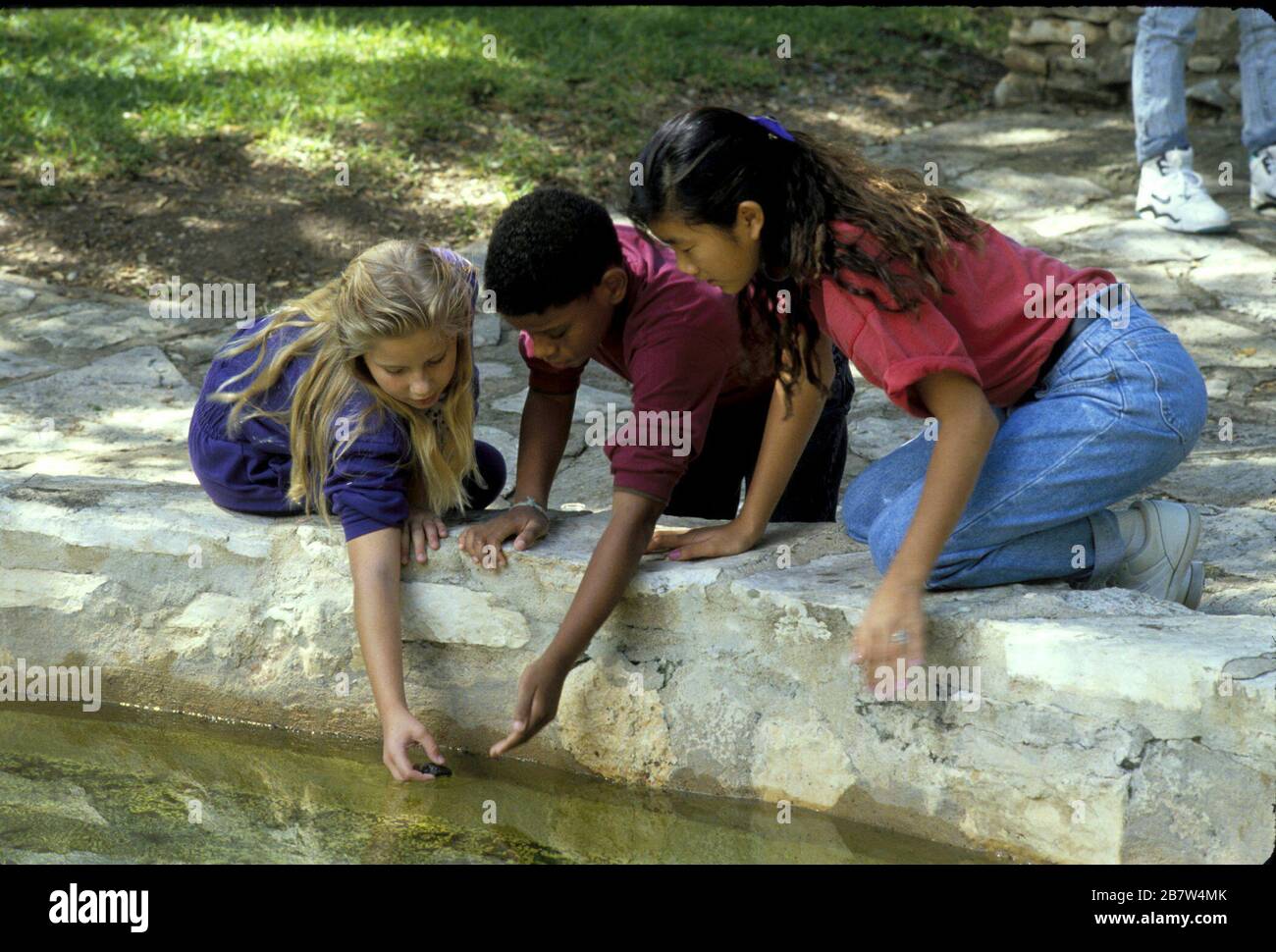 Austin Texas USA: Gli studenti della scuola media esplorano la vita dei laghetti nei giardini botanici della città. SIGNOR ©Bob Daemmrich Foto Stock Austin Texas USA: Gli studenti della scuola media esplorano la vita dei laghetti nei giardini botanici della città. SIGNOR ©Bob Daemmrich Foto Stock