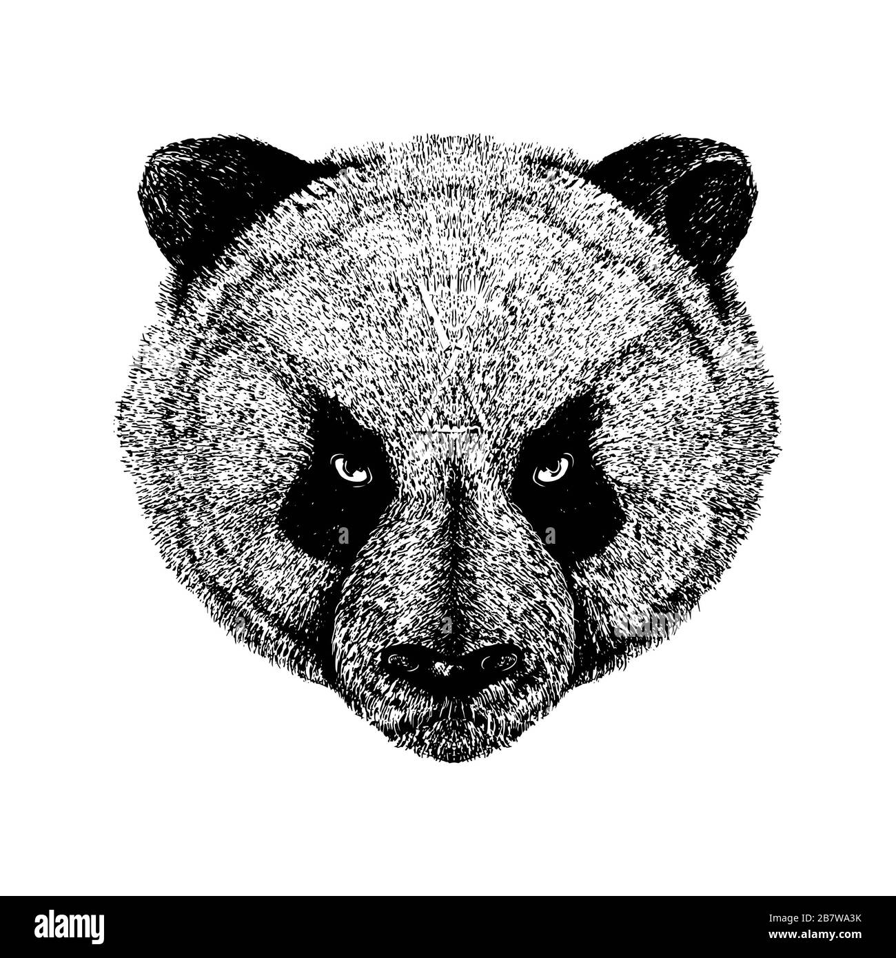 Arrabbiato Panda Design Vector Illustration Design Foto Stock