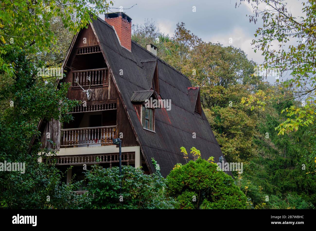 cottage in legno nella foresta Foto Stock