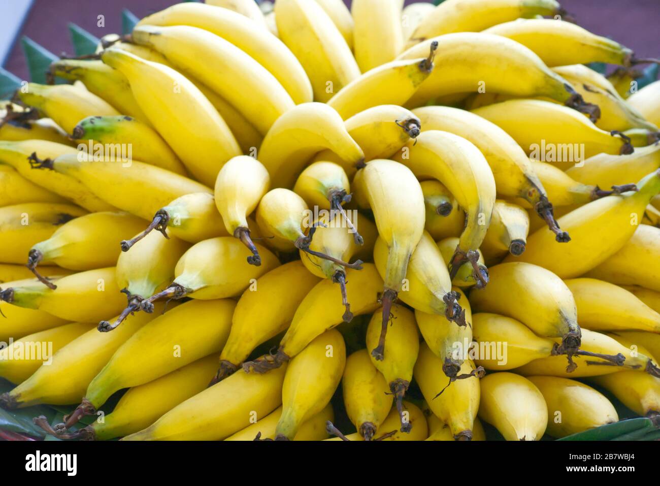 Lebmuernang banana messo su un sacco e bellissimo giallo. Foto Stock