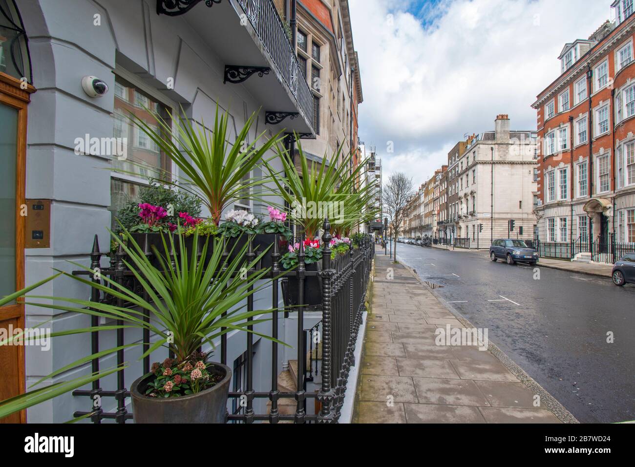 LONDON HARLEY STREET FIORISCE FUORI DA UNO DEGLI OSPEDALI O CLINICHE PRIVATI Foto Stock