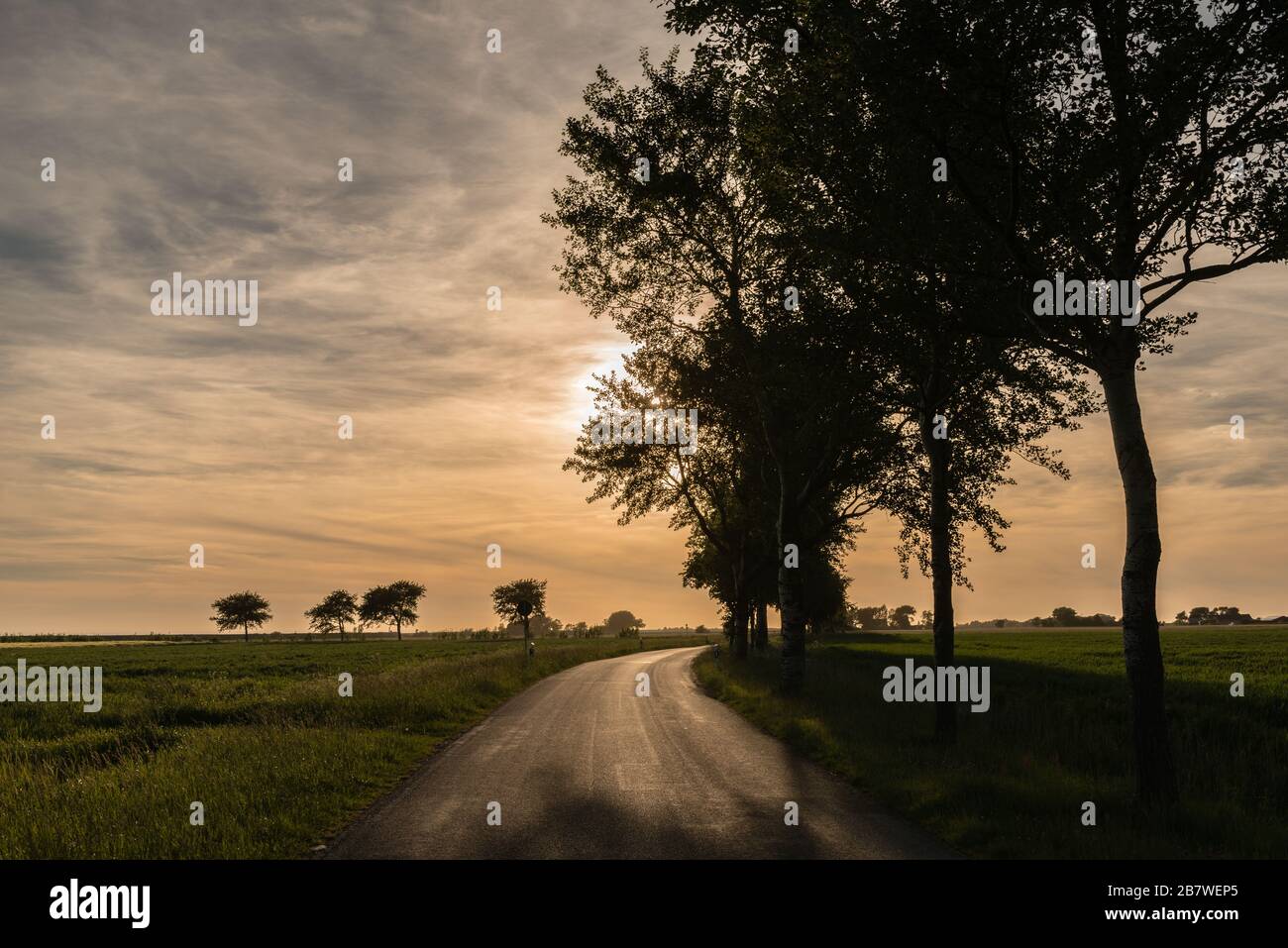 Paesaggio e penisola Eiderstedt, Frisia settentrionale, Schleswig-Holstein, Germania settentrionale, Europa centrale Foto Stock