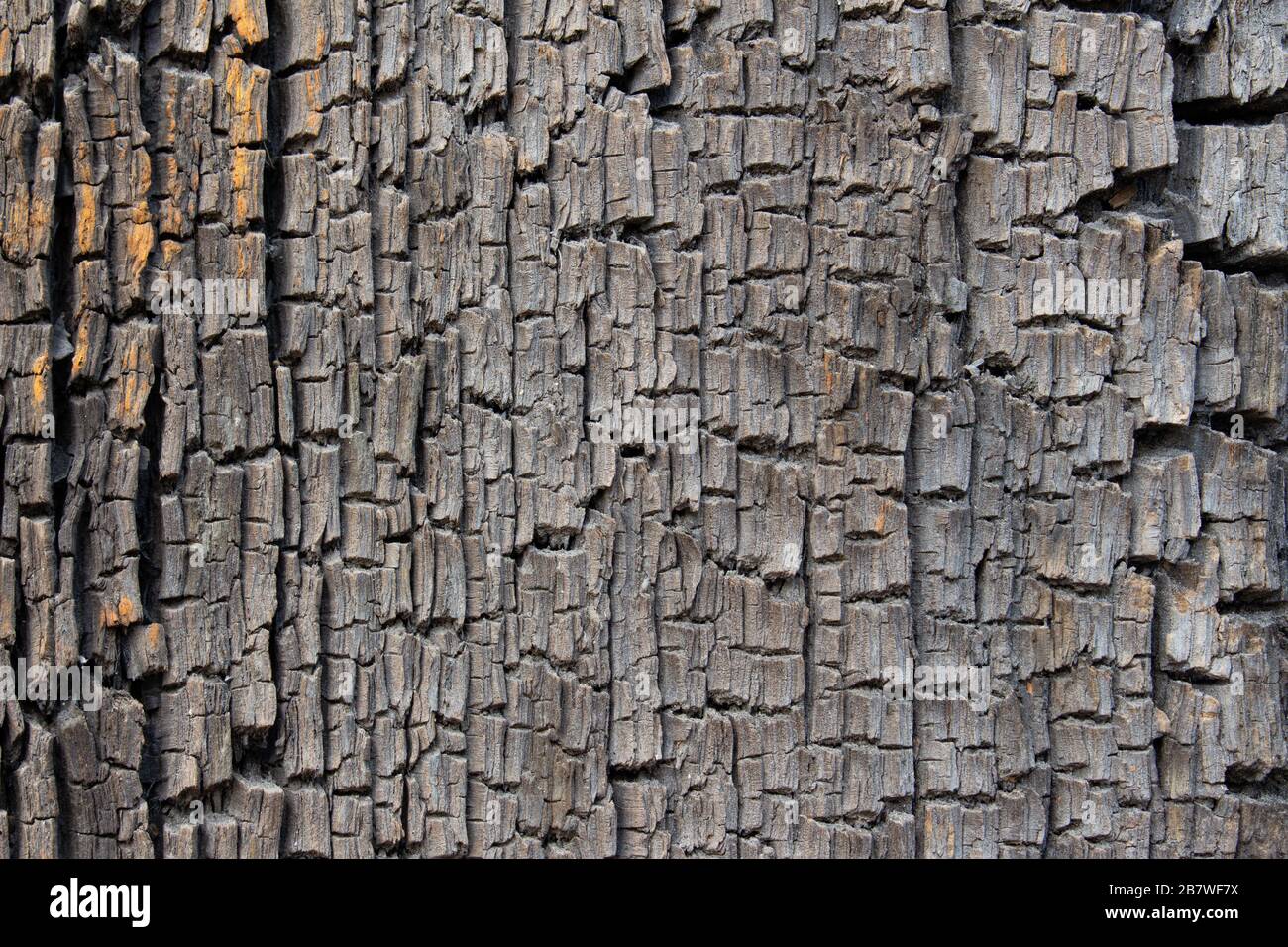Primo piano di vecchia tessitura di legno incrinato antico, può essere usato come sfondo o sfondo Foto Stock