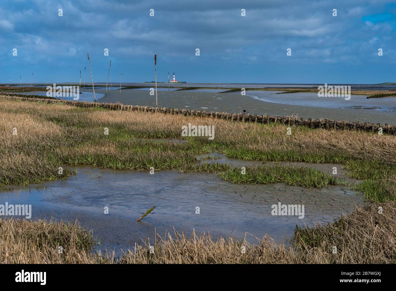 Tümmlauer Koo con faro Westerhoverland, paesaggio e penisola Eiderstedt, Frisia settentrionale, Schleswig-Holstein, Germania settentrionale, Europa centrale Foto Stock Tümmlauer Koo con faro Westerhoverland, paesaggio e penisola Eiderstedt, Frisia settentrionale, Schleswig-Holstein, Germania settentrionale, Europa centrale Foto Stock