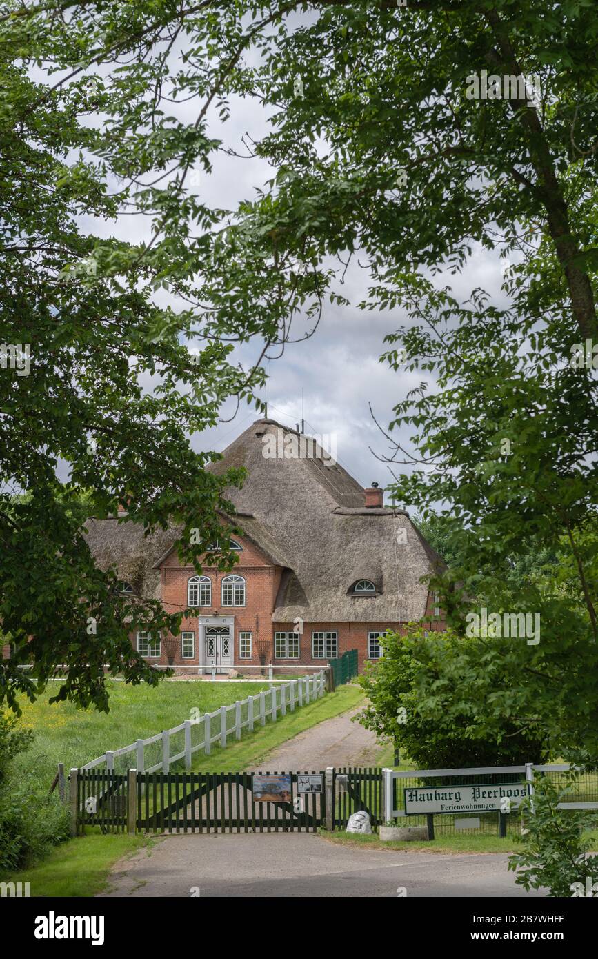 Haubarg, casa colonica di proprietari terrieri precedentemente ricchi, oggi con case vacanze, penisola Eiderstedt, Frisia settentrionale, Schleswig-Holstein, Germania, Europa Foto Stock