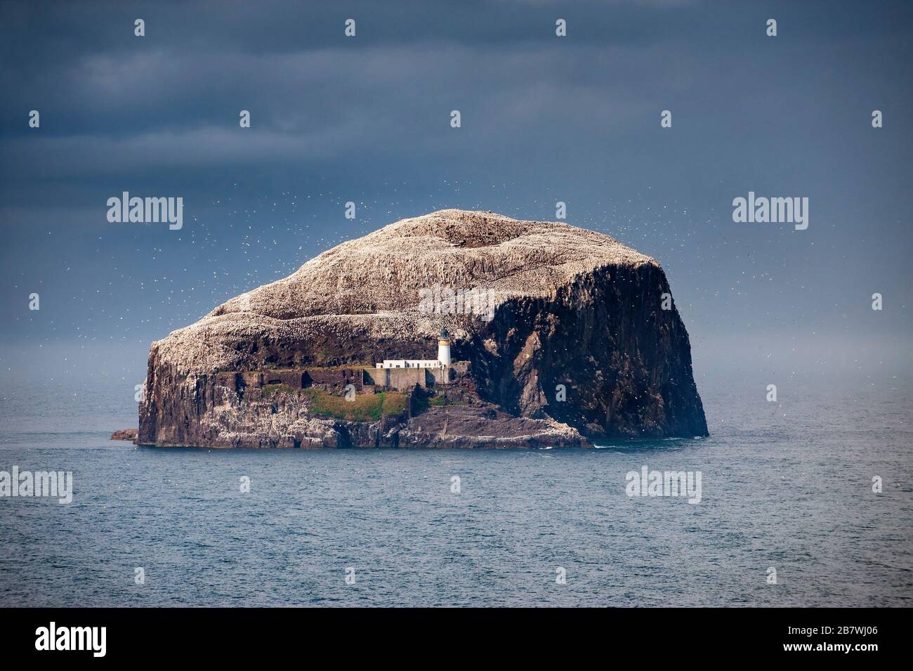 Ripide scogliere di Bass Rock. L'isola precipitosa ospita una gannet e altre colonie di uccelli marini nel Mare del Nord al largo della costa orientale di Lothian della Scozia centrale Foto Stock