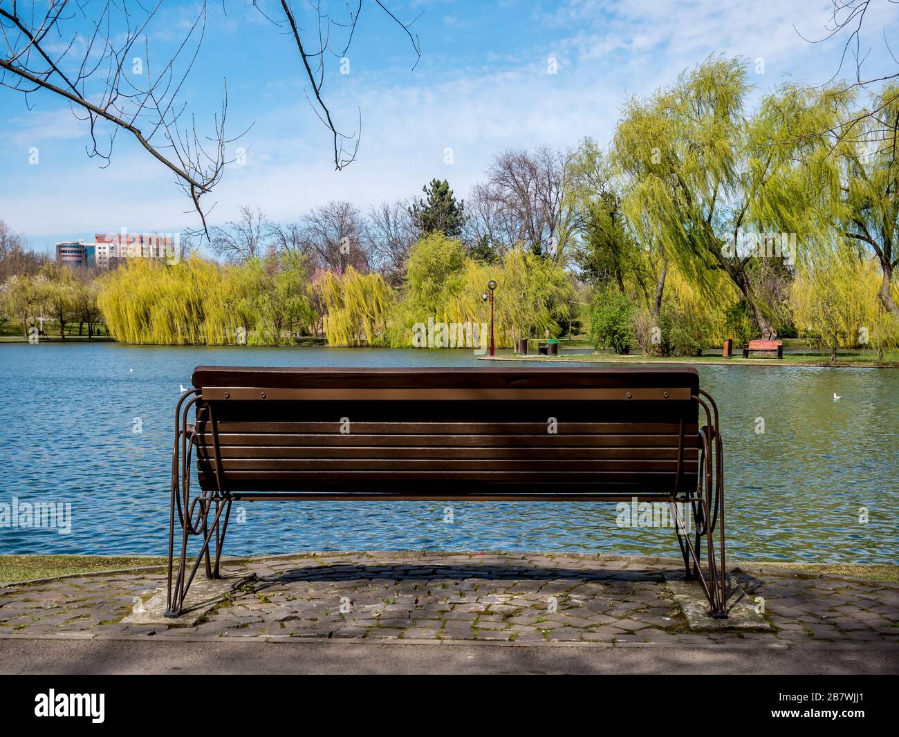 Panca al bordo di un lago in un parco. Alberi, acqua e un cielo blu. Foto Stock