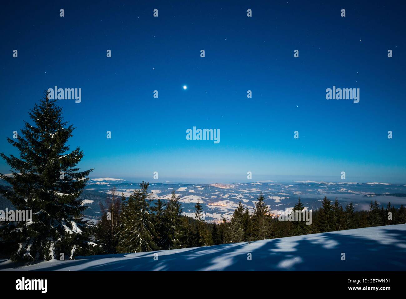 Bellissimo paesaggio con maestosi abeti alti che crescono tra ciuffi bianchi di neve contro il cielo blu in una soleggiata giornata invernale gelida. Concetto di trekking Foto Stock