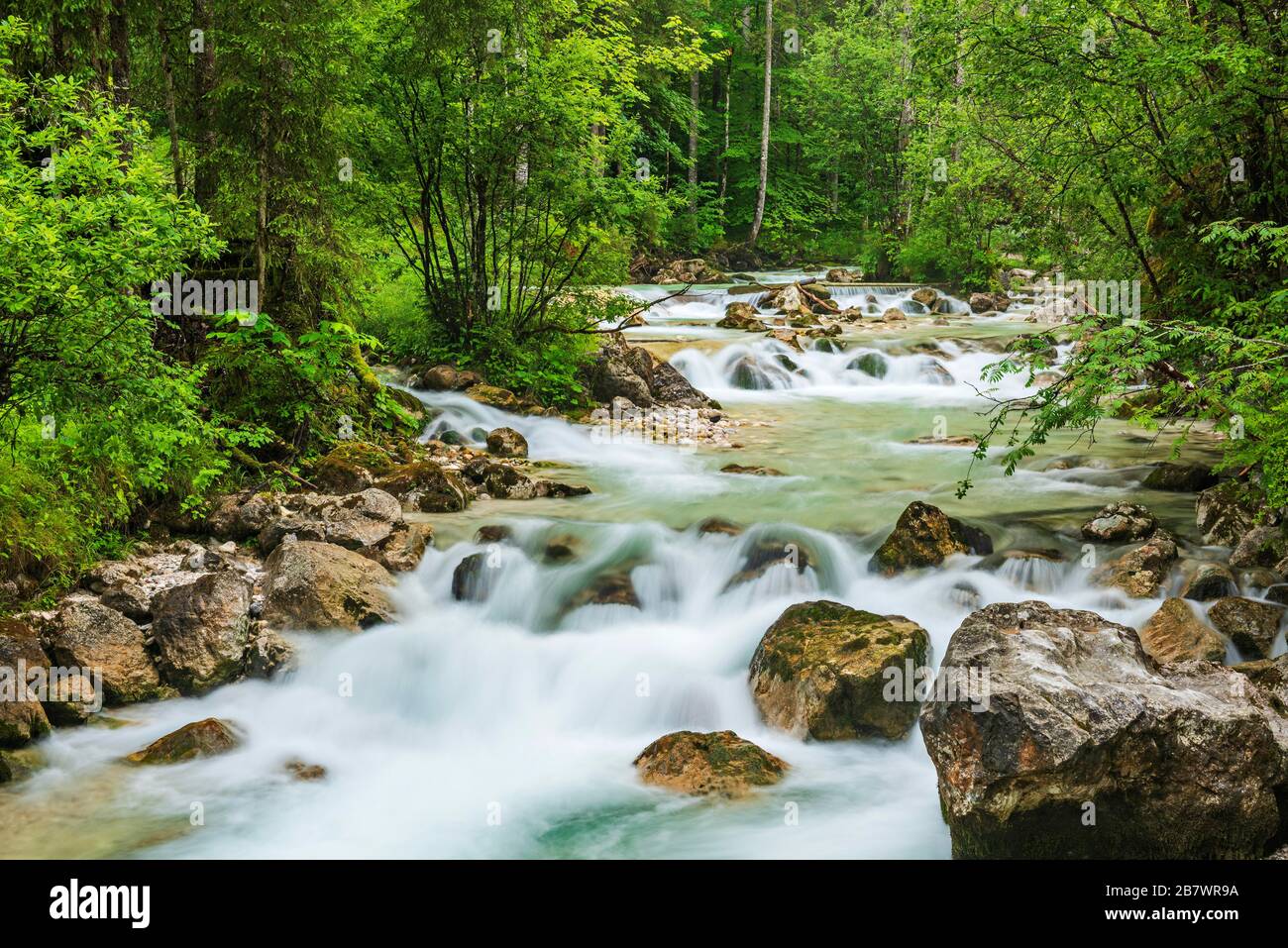 Torrente di montagna Ramsauer Ache nella foresta incantata, Berchtesgaden Parco Nazionale, Ramsau, Berchtesgadener Land, alta Baviera, Baviera, Germania Foto Stock