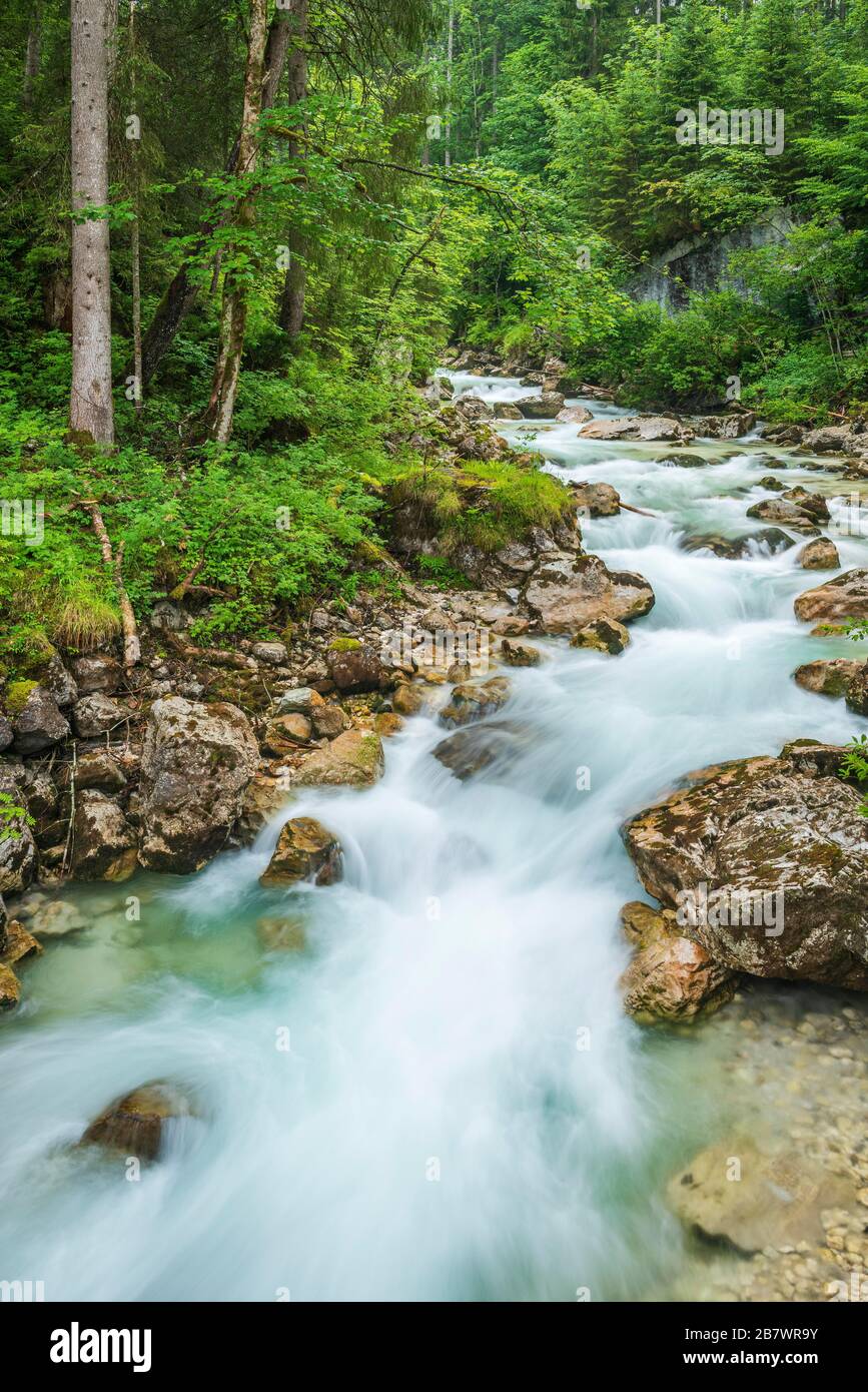 Torrente di montagna Ramsauer Ache nella foresta incantata, Berchtesgaden Parco Nazionale, Ramsau, Berchtesgadener Land, alta Baviera, Baviera, Germania Foto Stock