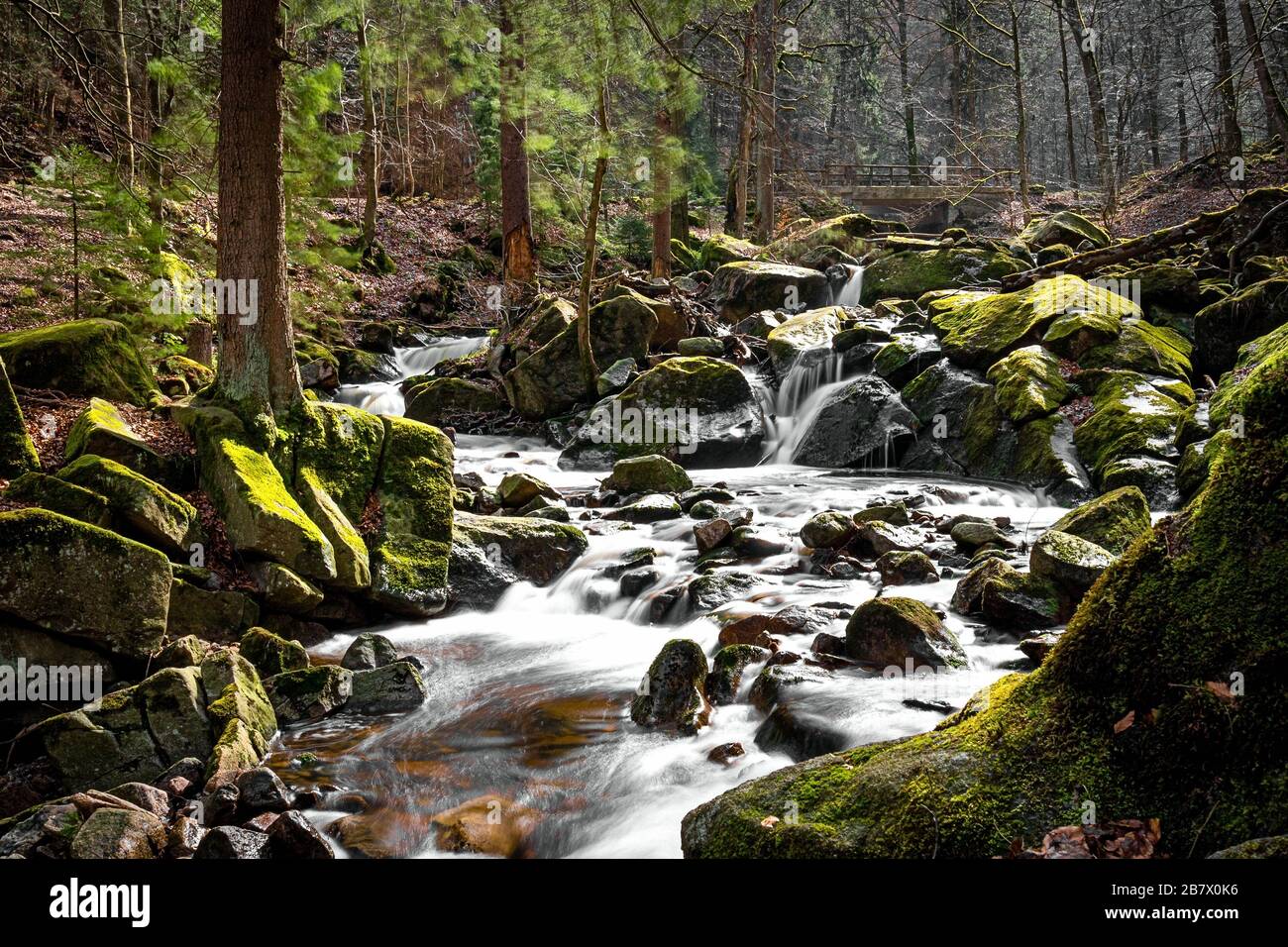 15.03.2020, la cascata dell'Ilse in Ilsenburg in uno stucco foresta nel nord Harz. Foto con esposizione prolungata di acqua in corso con filtro ND. L'Ilse è un affluente orograficamente destro dell'Oker in Sassonia-Anhalt e bassa Sassonia lungo 42.9 km. Scorre nelle pendici di Harz e di Harz settentrionale. | utilizzo in tutto il mondo Foto Stock