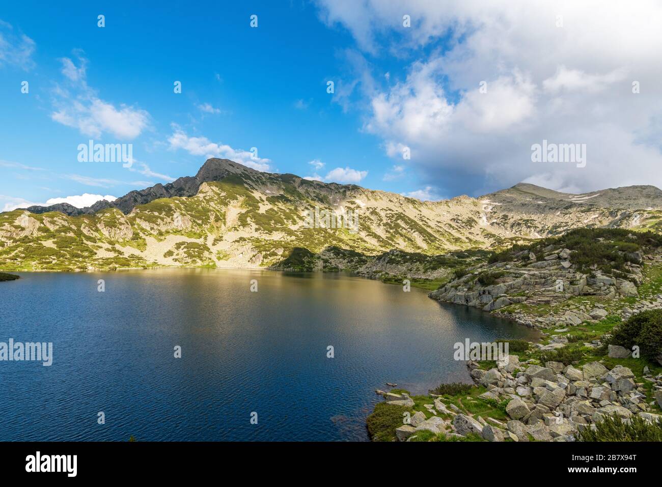 Paesaggio paesaggio estivo, montagna Pirin, Bulgaria. Foto Stock