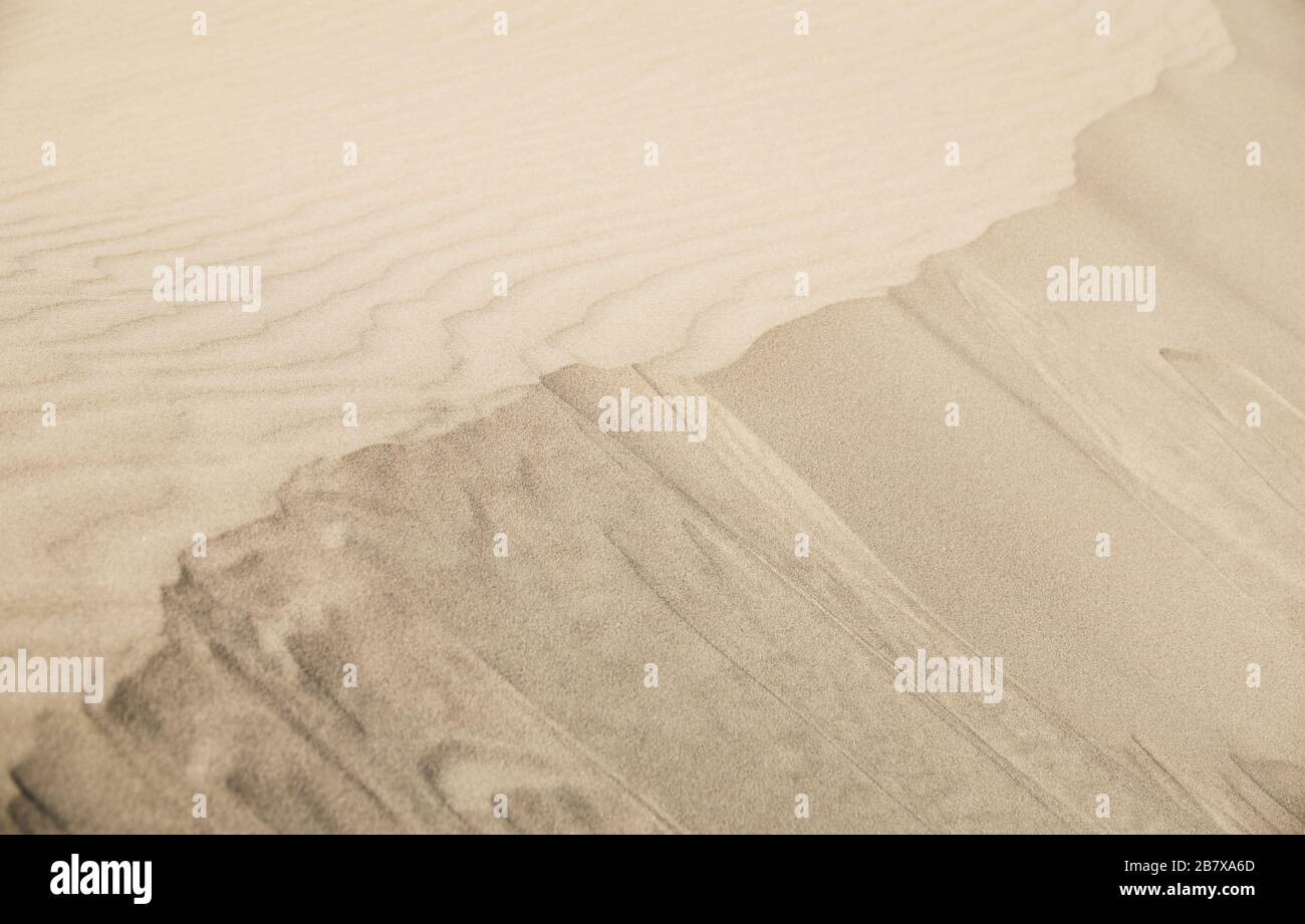 una vista delicata di una piccola duna di sabbia Foto Stock