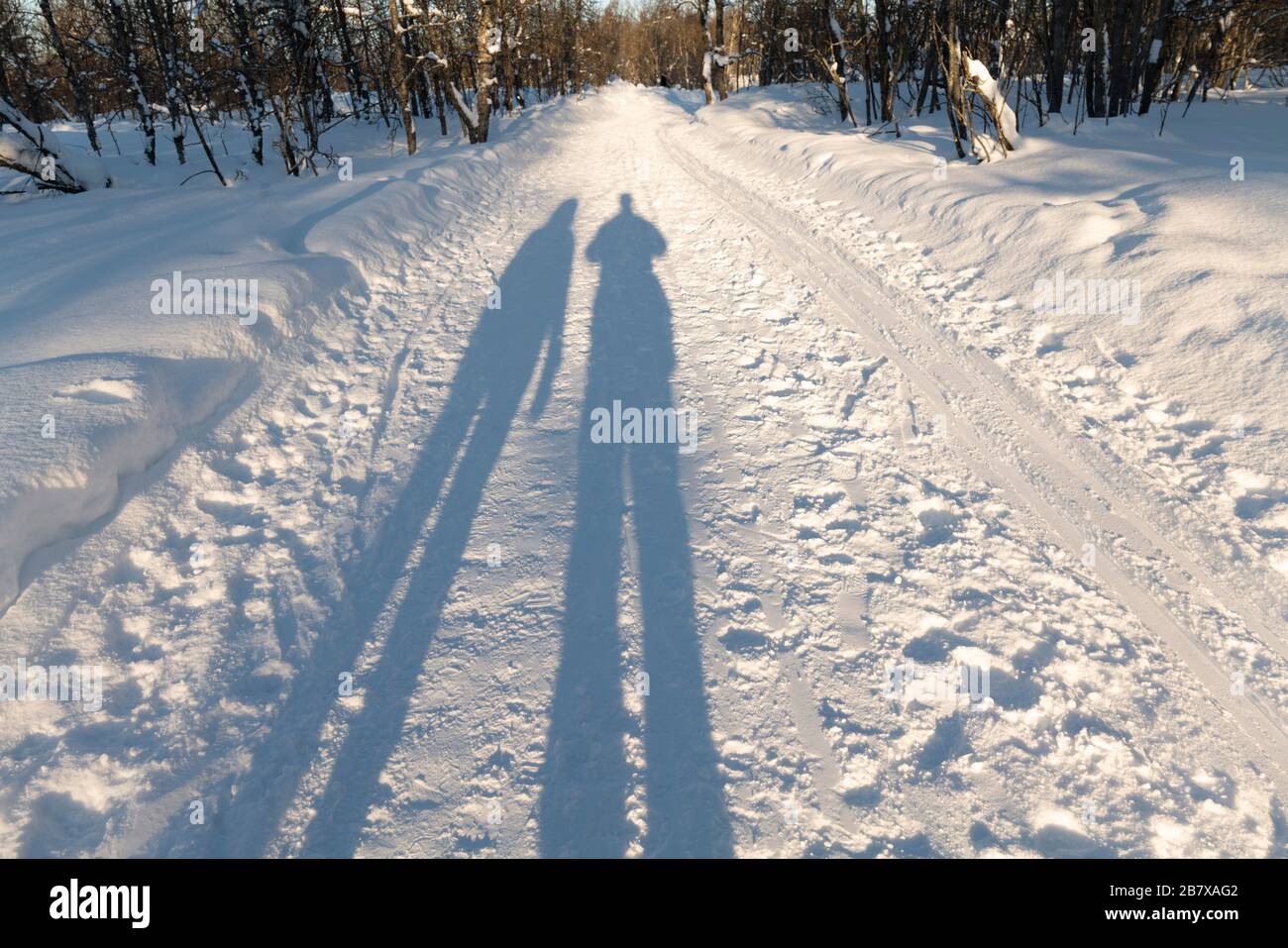 Gettando ombre in una bella giornata di inverni, Tromso, Norvegia. Foto Stock