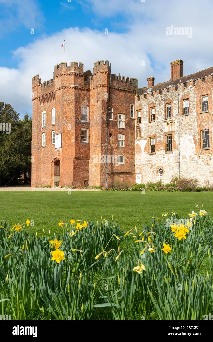 Farnham Castello con narcisi in primavera, Surrey, Regno Unito Foto Stock