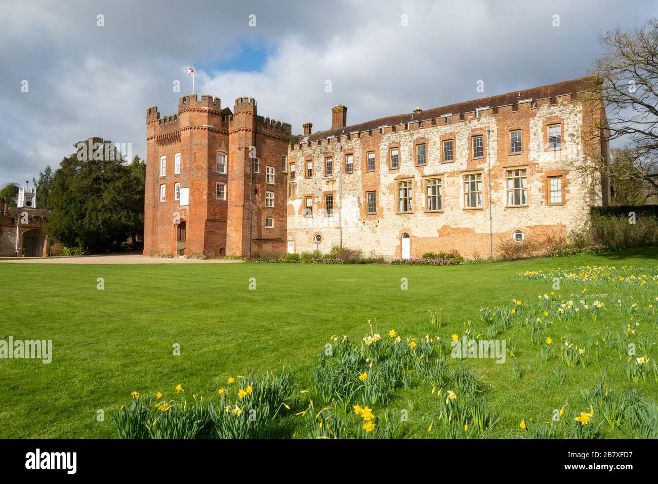Farnham Castello con narcisi in primavera, Surrey, Regno Unito Foto Stock