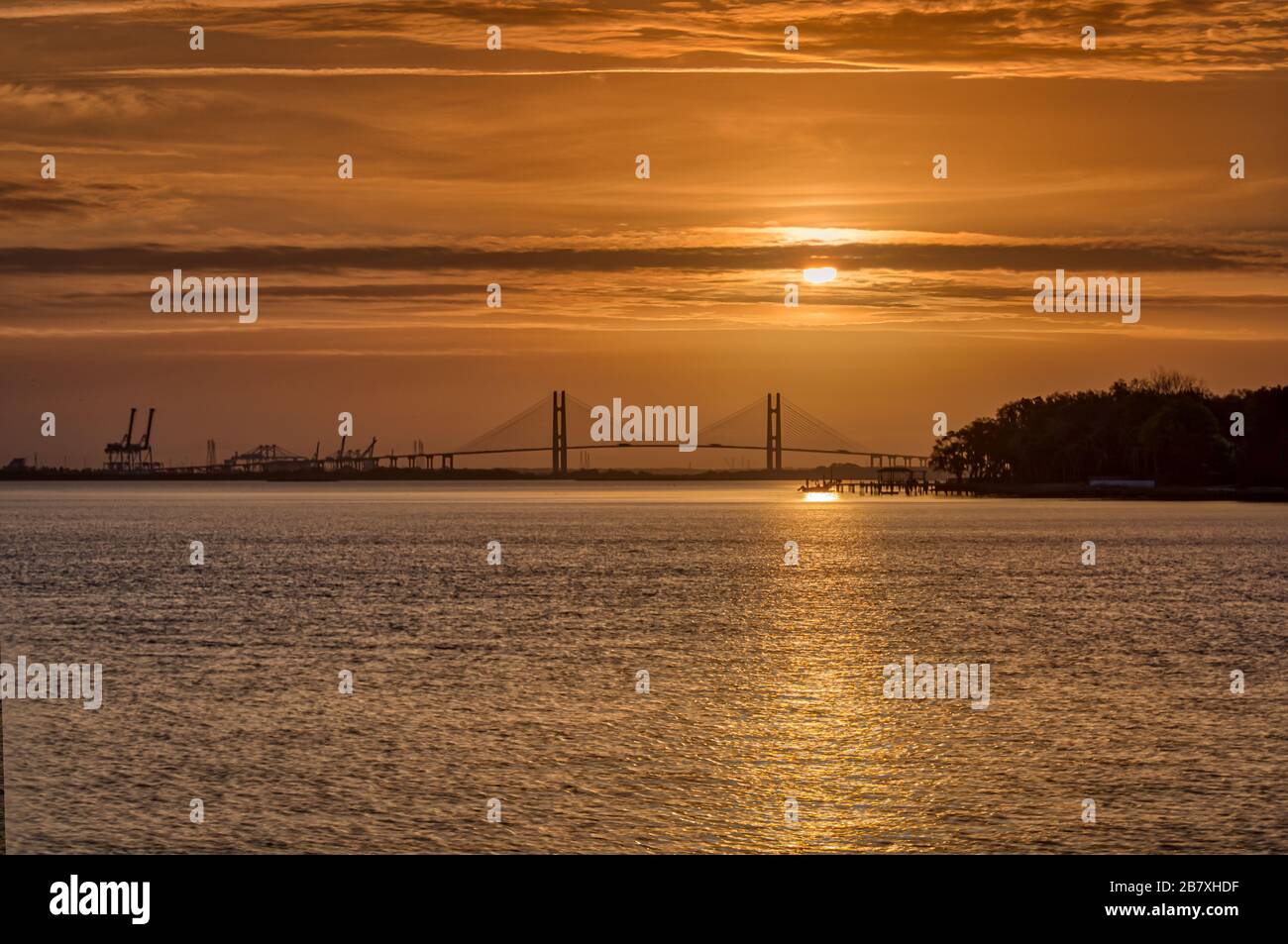 Dames Point Bridge all'alba Foto Stock