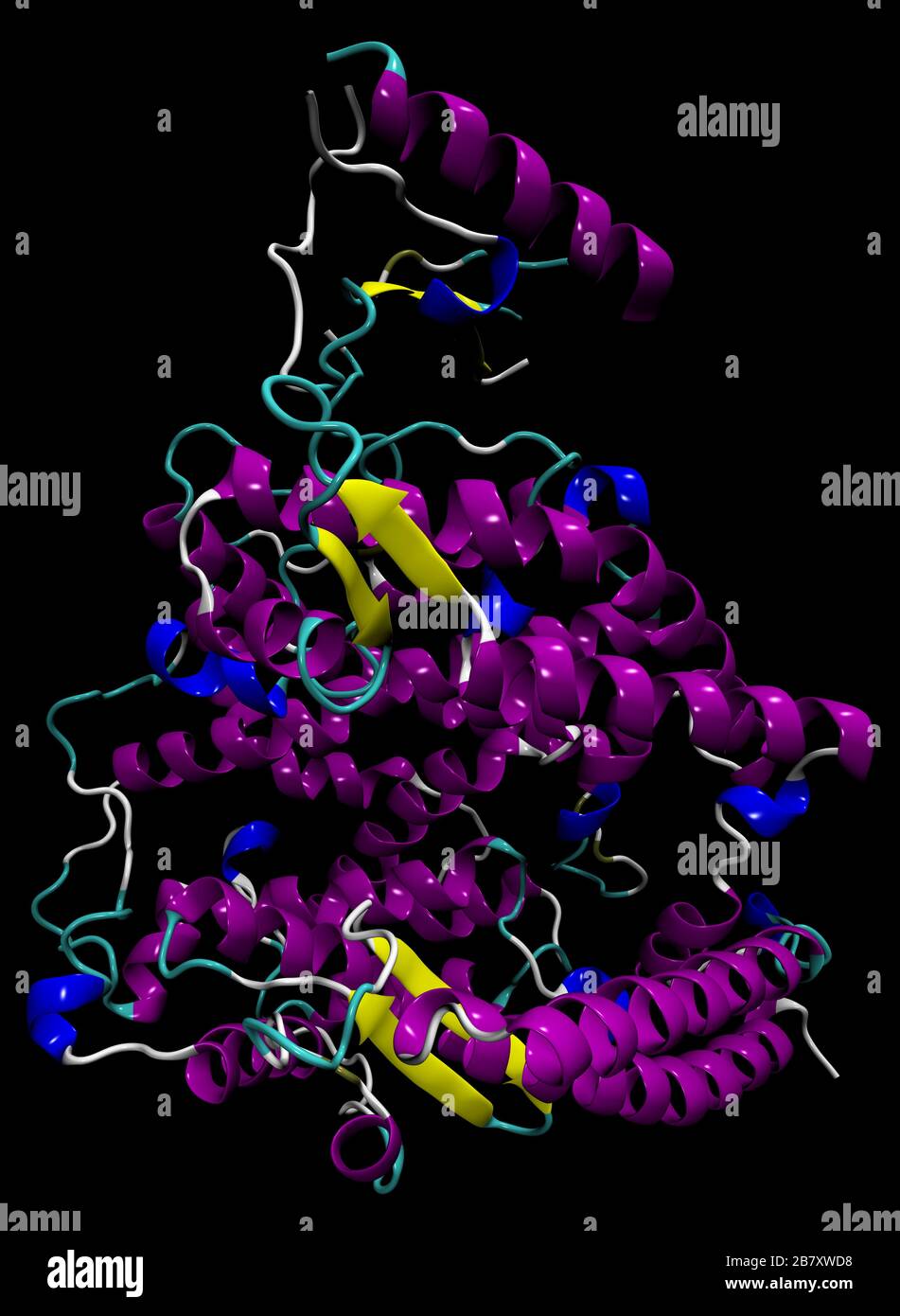 Struttura 3D dell'enzima ACE2 umano, il punto di ingresso del coronavirus SARS-cov-2, che causa COVID-19. PDB 1R42 Foto Stock