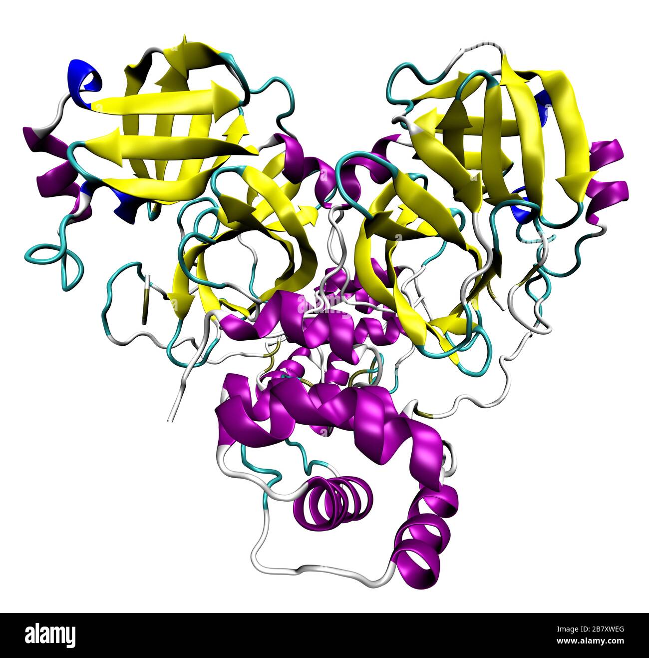 Struttura 3D della proteasi principale di coronavirus SARS-cov-2, un bersaglio per i farmaci contro COVID-19. PDB 6LU7 Foto Stock