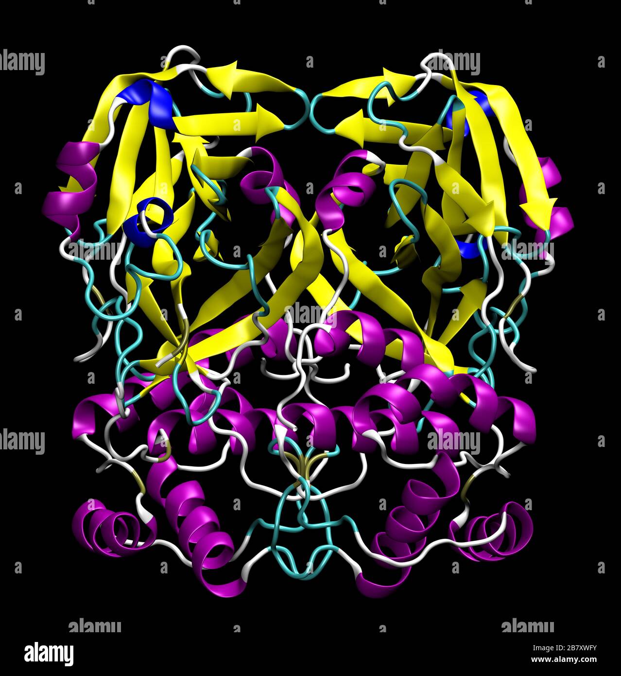 Struttura 3D della proteasi principale di coronavirus SARS-cov-2, un bersaglio per i farmaci contro COVID-19. PDB 6LU7 Foto Stock