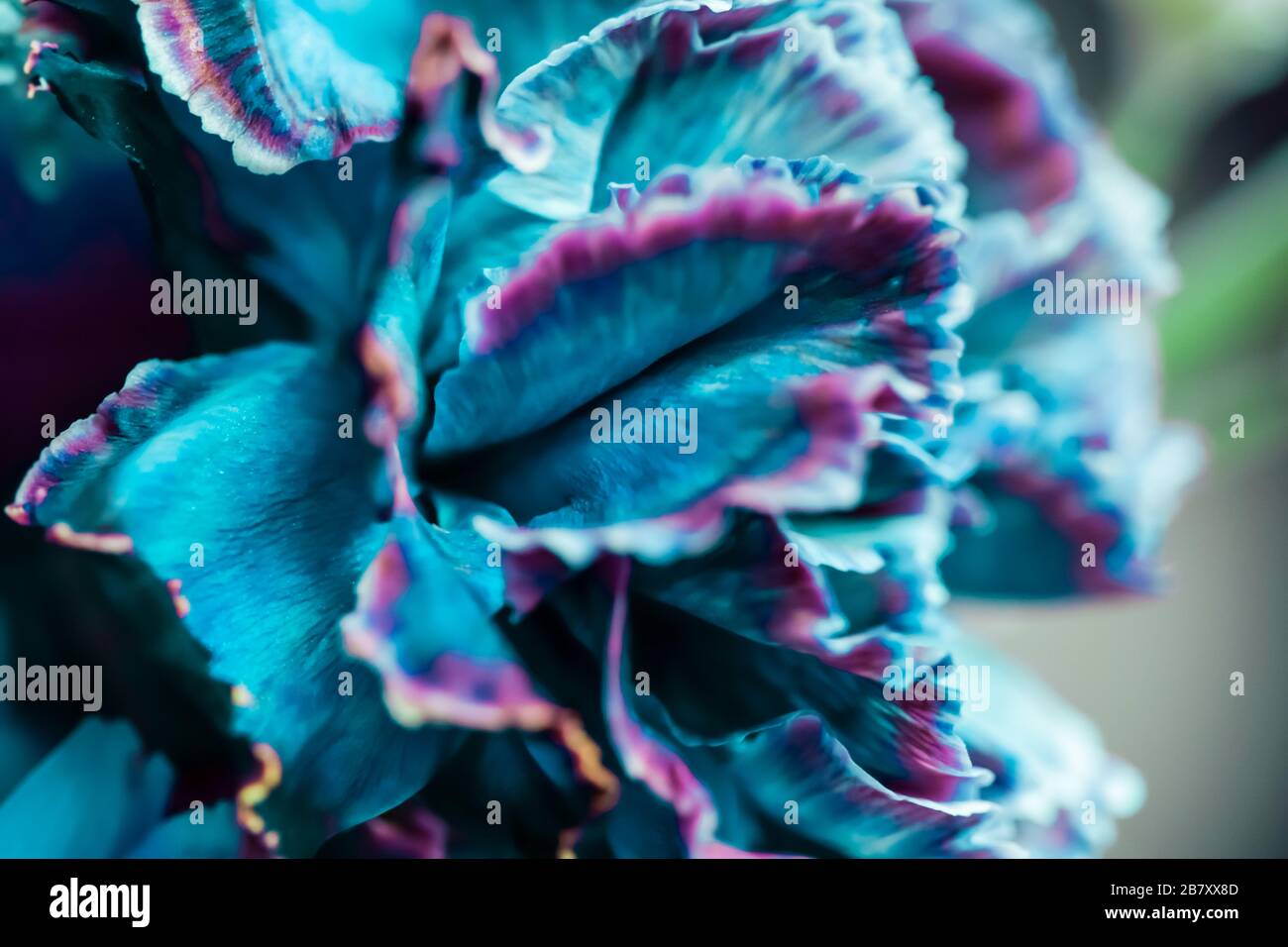 Arte Retro, vintage card e concetto di botanica - Abstract sfondo floreale, blu chiodo di garofano. Macro sfondo fiori per vacanza il brand design Foto Stock