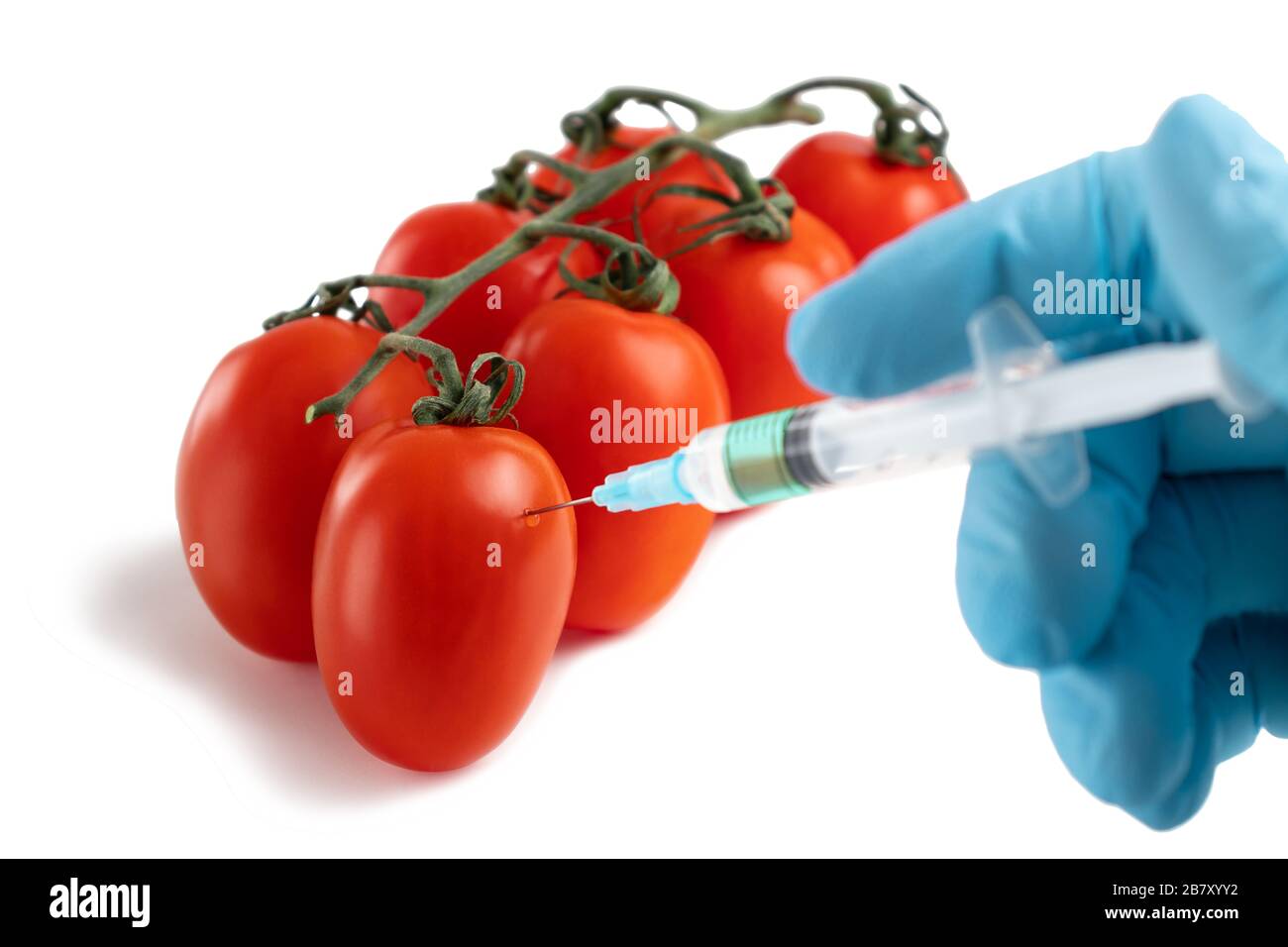 Concetto di alimenti e sostanze chimiche OGM negli ortaggi. La mano in un guanto fa un'iniezione con una siringa con una soluzione di pomodoro maturo. Foto Stock