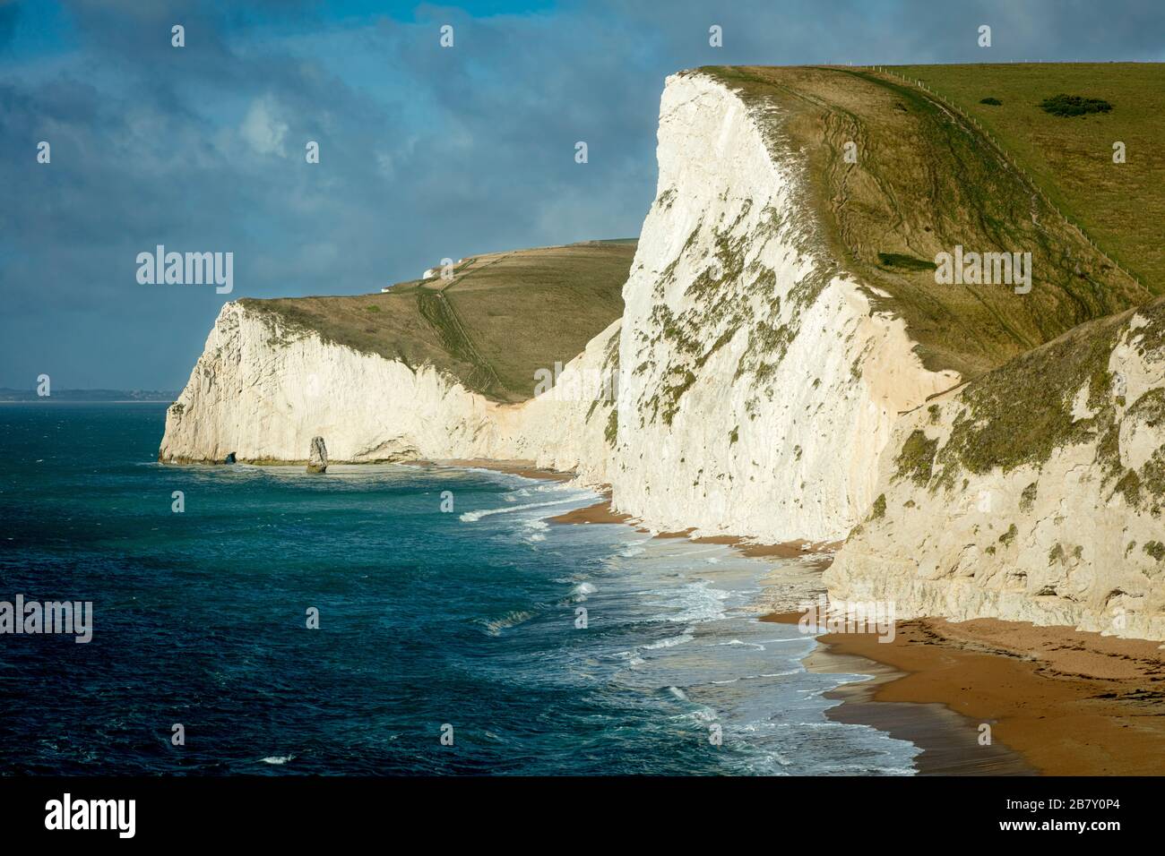 Swyre Head e bianche scogliere lungo la Jurassic Coast, Dorset, Inghilterra, Regno Unito Foto Stock