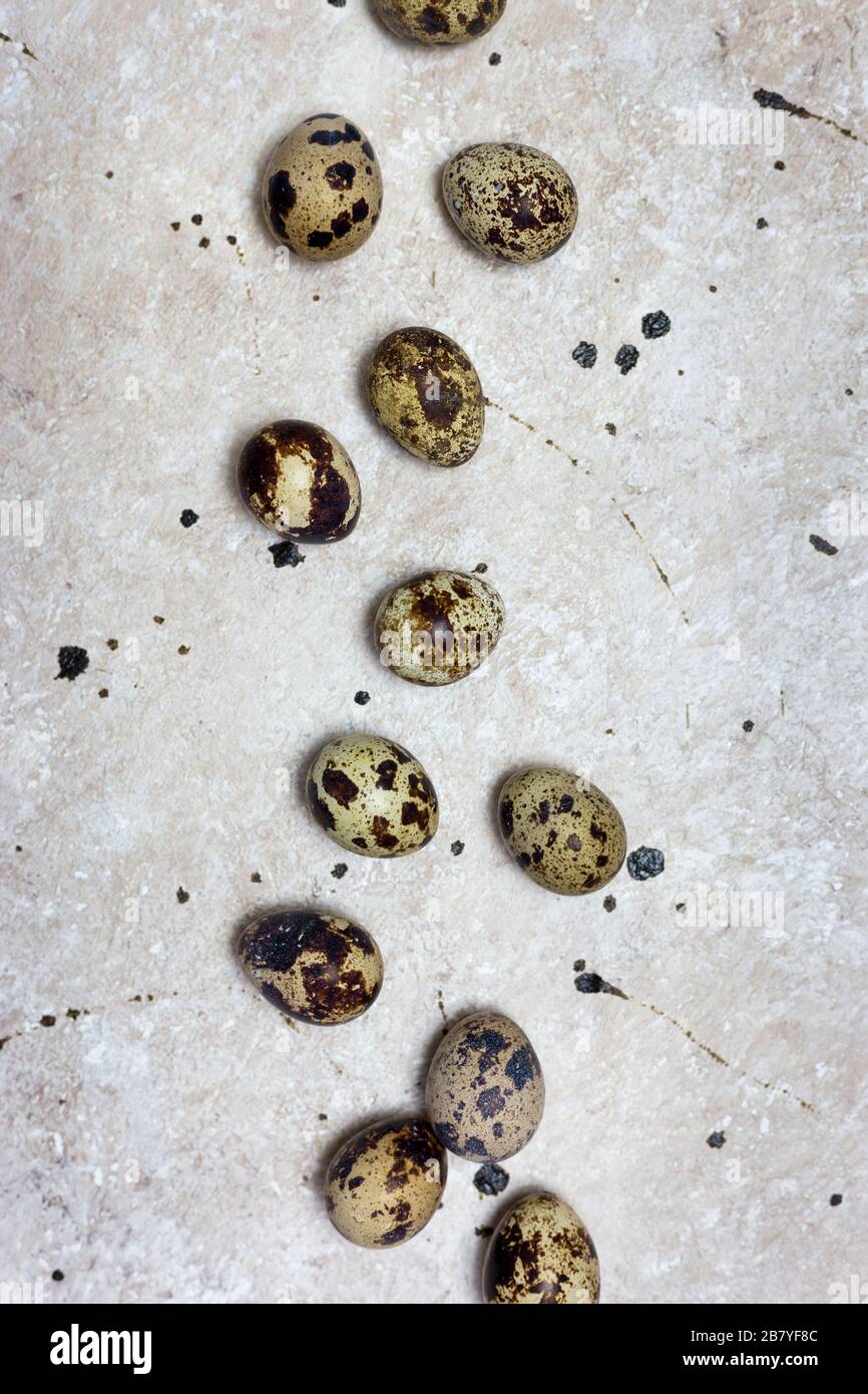 Uova fresche di quaglia biologica su sfondo chiaro. Vista superiore, spazio di copia. Concetto di Pasqua. Foto Stock