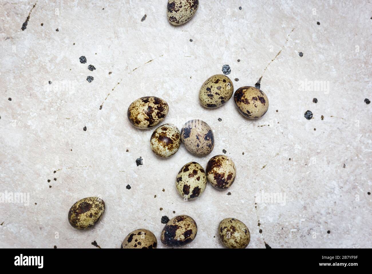 Uova fresche di quaglia biologica su sfondo chiaro. Vista superiore, spazio di copia. Concetto di Pasqua. Foto Stock