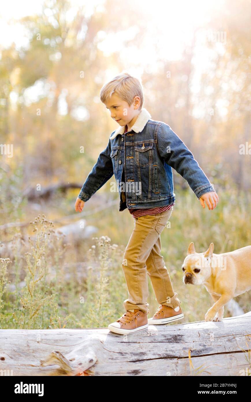 Ragazzo e animale domestico francese bulldog che cammina su albero caduto Foto Stock