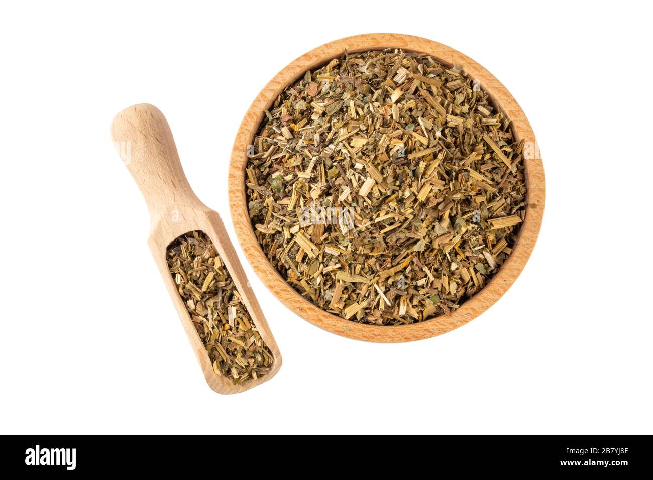 celandine o in latino Chelidonii harba in ciotola di legno e scoop isolato su sfondo bianco. Erbe medicinali curative. Medicina di erbe. Alternative me Foto Stock
