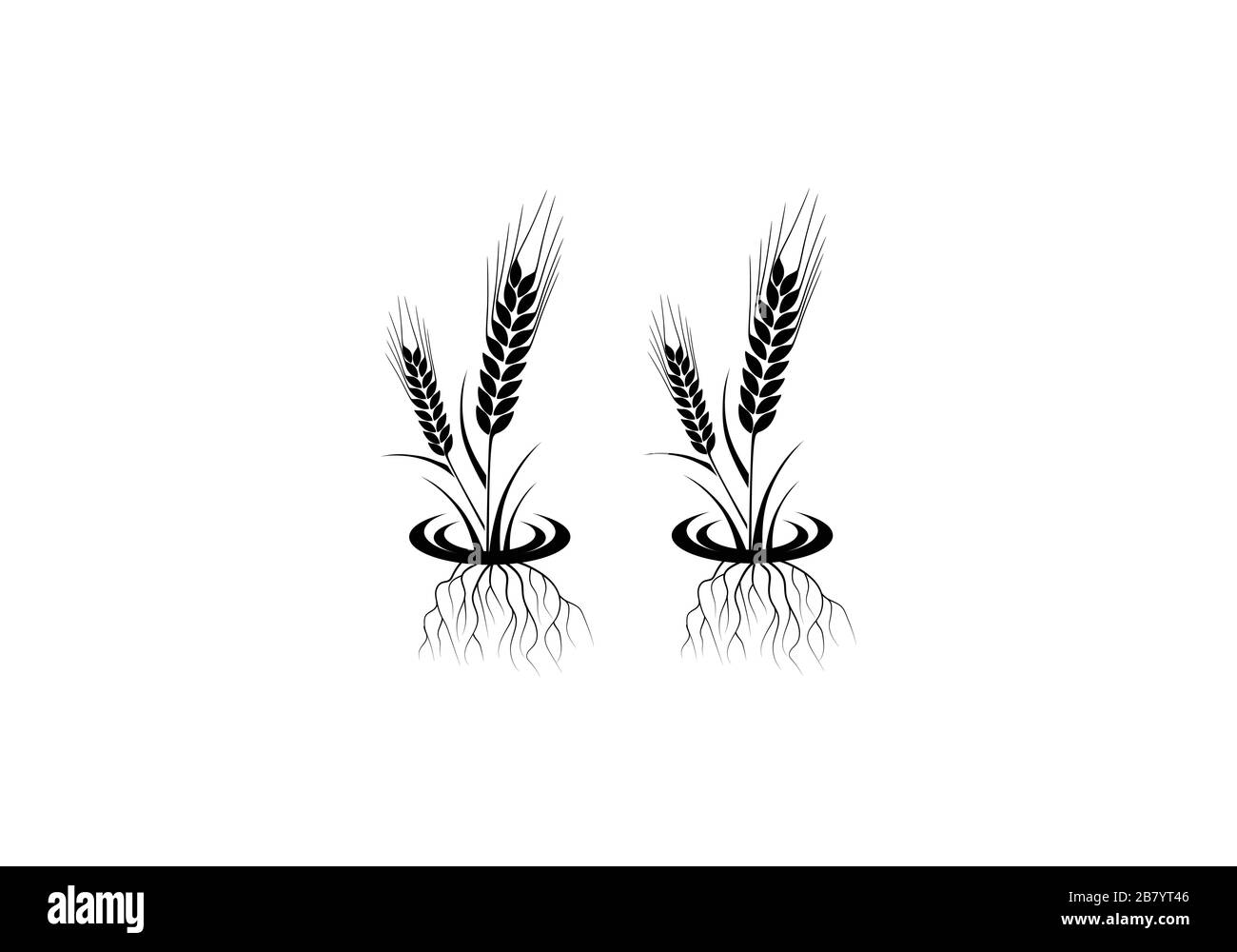 Icona e logo delle orecchie di grano. Per lo stile di identità della società di prodotti naturali e dell'azienda agricola. Simboli agricoli isolati su sfondo bianco. Illustrazione Vettoriale