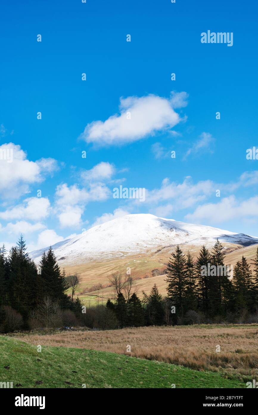 Neve coperta Bodesbeck legge montagna in tardo inverno. Moffat Dale, Dumfries & Galloway, Scozia Foto Stock