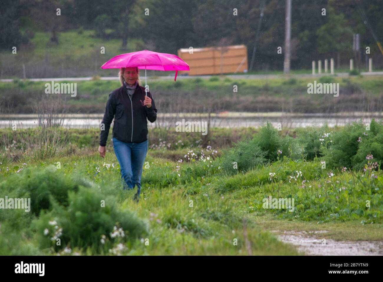 Una donna fa una passeggiata nel parco marino di Corte Madera Marsh state nella contea di Marin, CA. Foto Stock