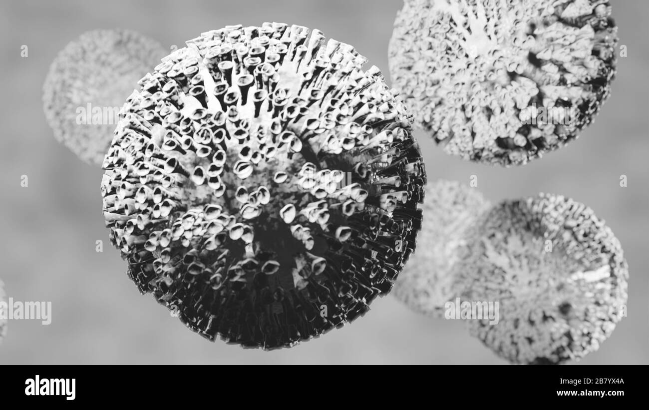 Coronovirus corvidis-19 nuovo ceppo si muove all'interno del corpo umano su uno sfondo sfocato, nero e bianco rendering 3D. Foto Stock