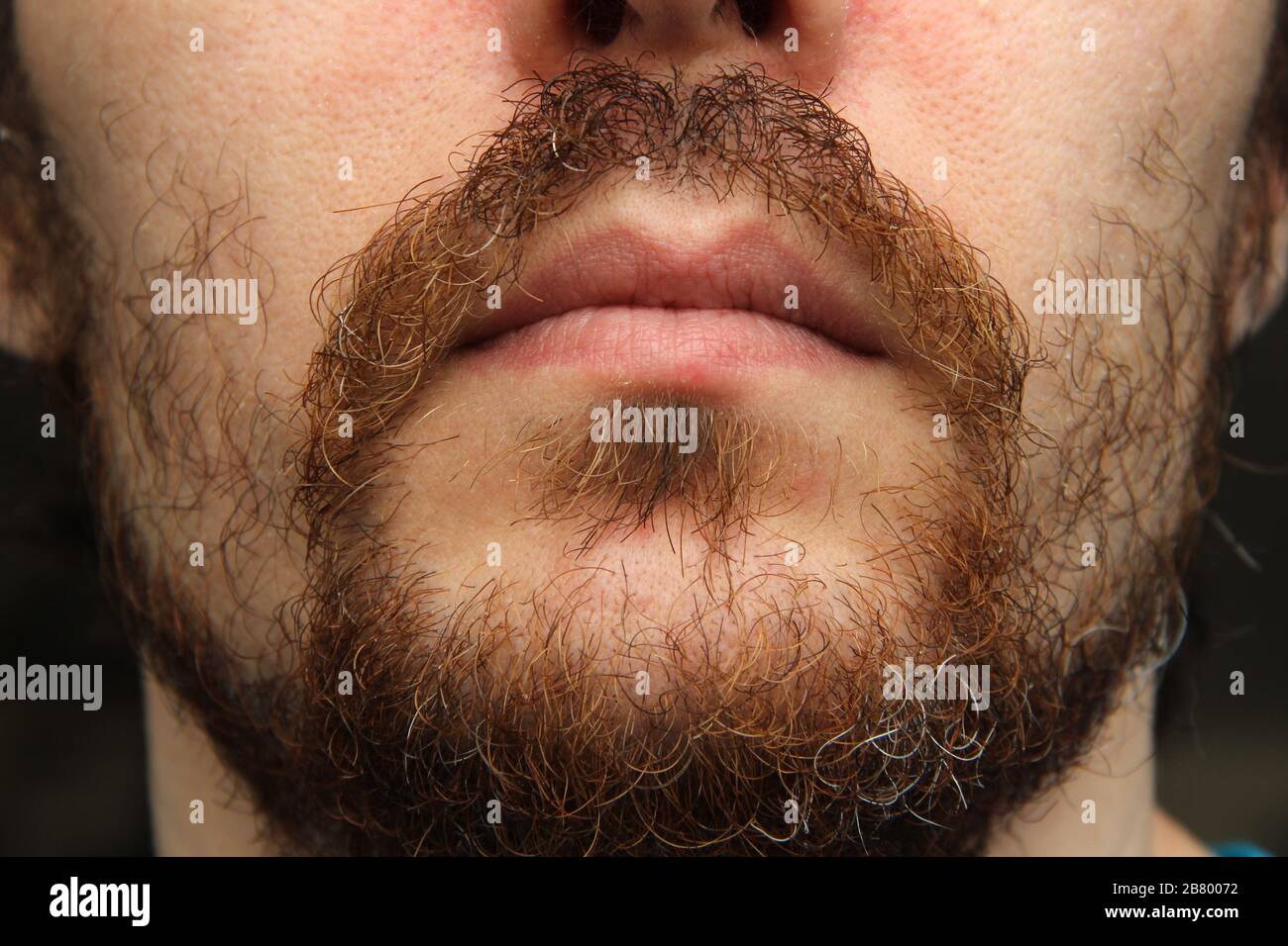 La parte inferiore del viso di un uomo bianco con barba e baffi. Foto Stock