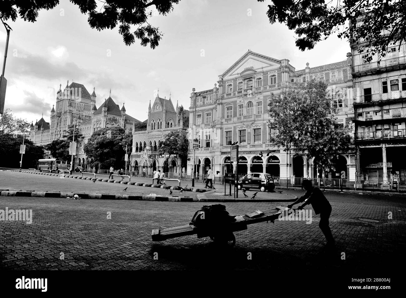 Elphinstone College, David Sassoon Library, Army and Navy Building, Esplanade Mansion, Kala Ghoda, Fort, Bombay, Mumbai, Maharashtra, India, Asia Foto Stock