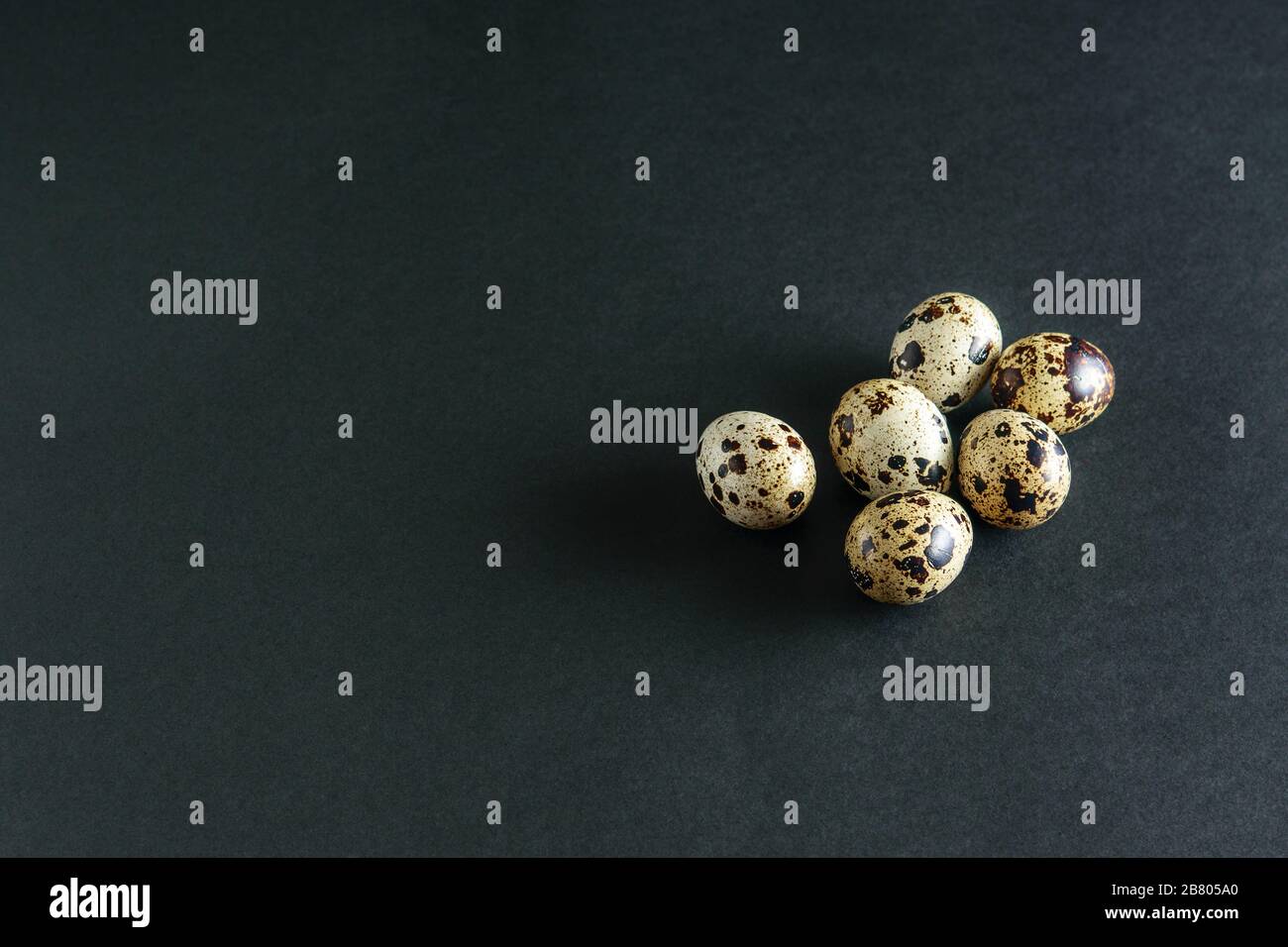 Piccole uova di quaglia macchiate sullo sfondo nero astratto. Modalità scuro, nero minimalista. Foto Stock