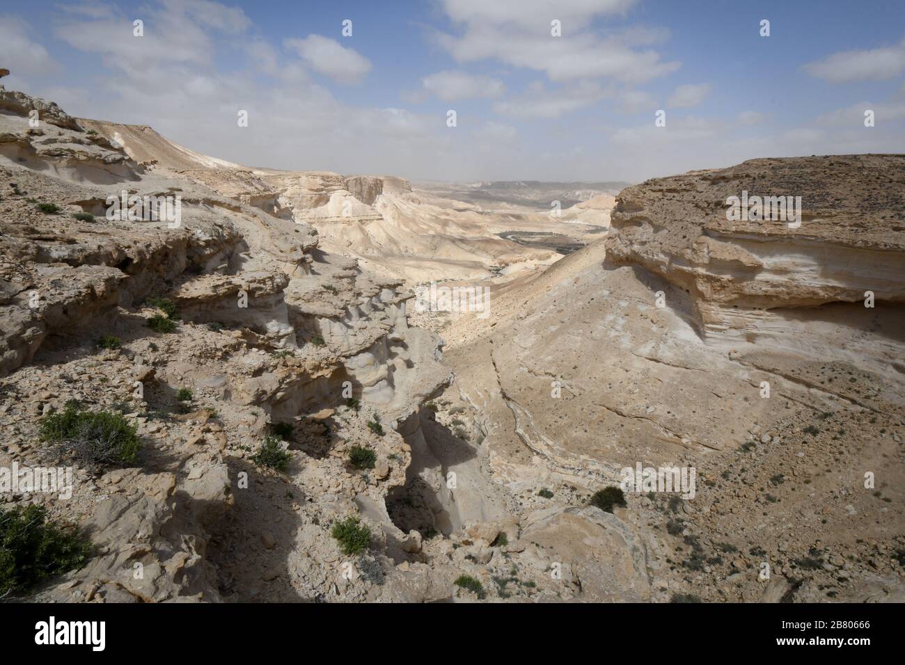 Wadi Hawarim, deserto del Negev, Israele Foto Stock