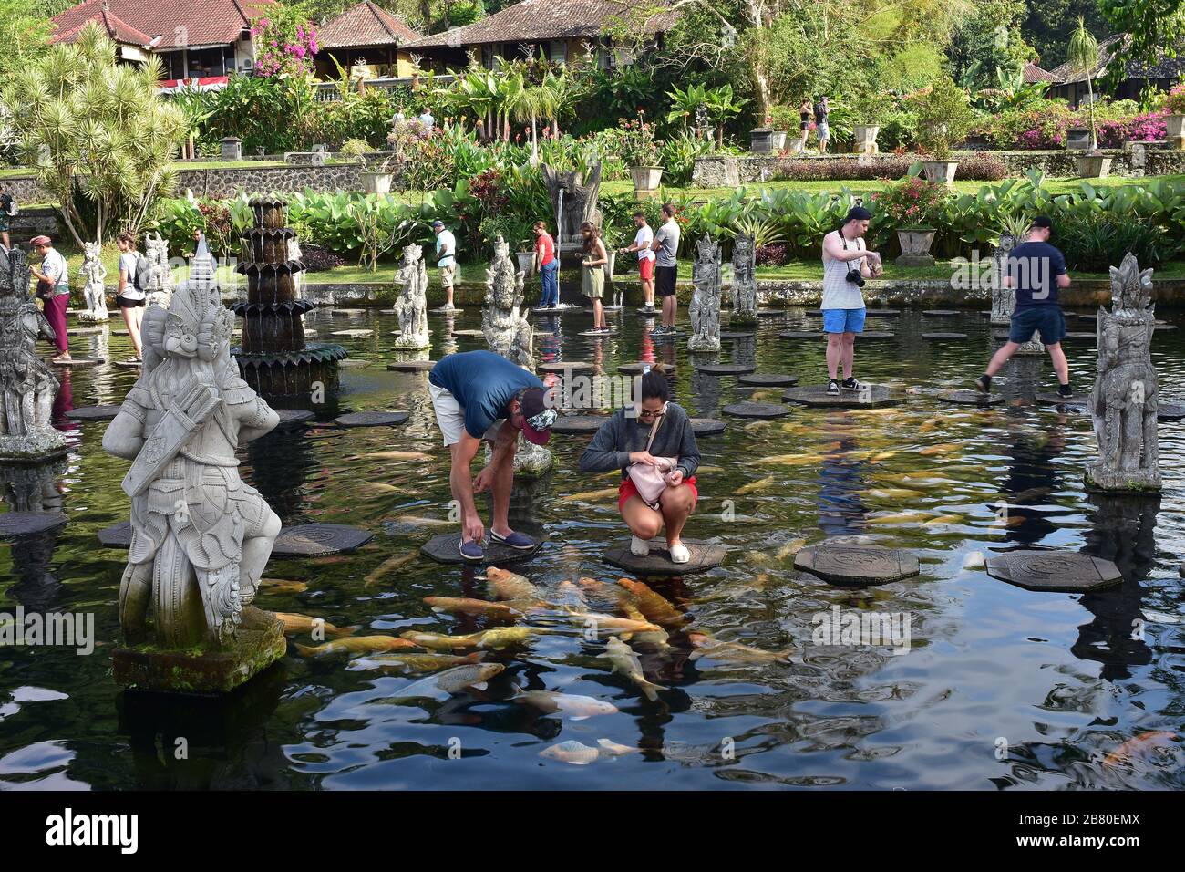 Turisti che nutrano pesci d'acqua dolce da scalini di pietra nel Palazzo d'acqua di Tirtagangga a Bali. Foto Stock