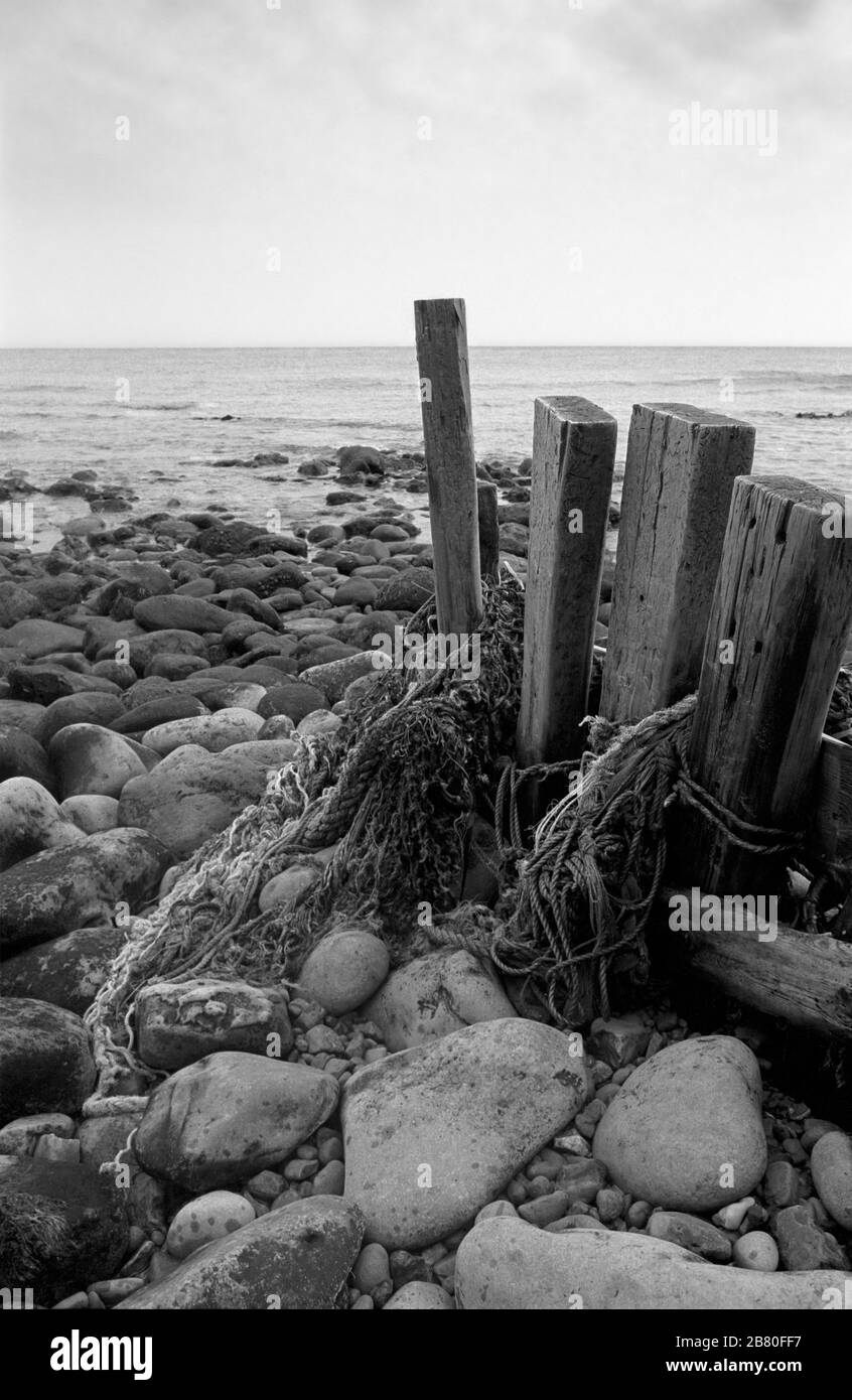 Castle Haven, Reeth Bay, Isola di Wight, Inghilterra, Regno Unito: Guardando fuori sul canale inglese in una giornata tranquilla, con una vecchia frangiflutti in primo piano. Fotografia a pellicola in bianco e nero Foto Stock