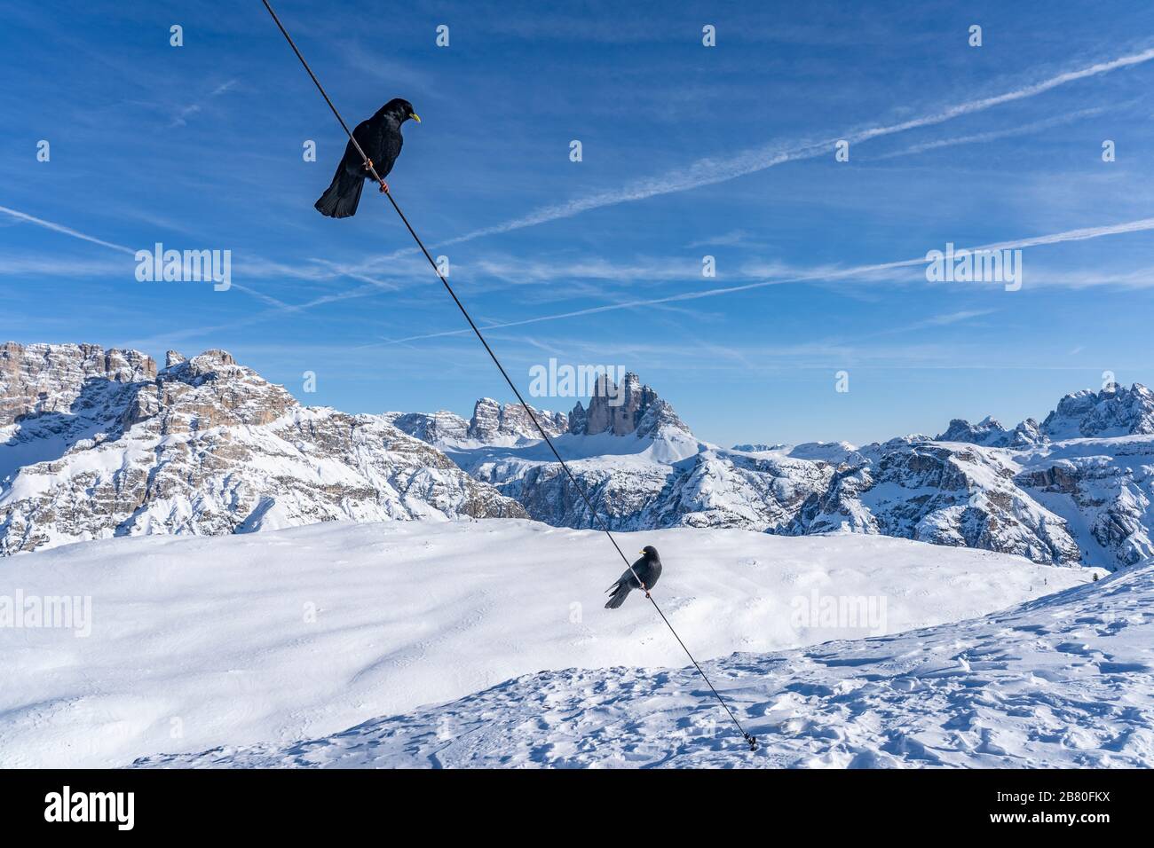 Inverno paesaggio alpino nelle tre vette Dolomiti con i Black Daws in attesa di essere feeded, Alto Adige, Italia, fotografia del paesaggio Foto Stock