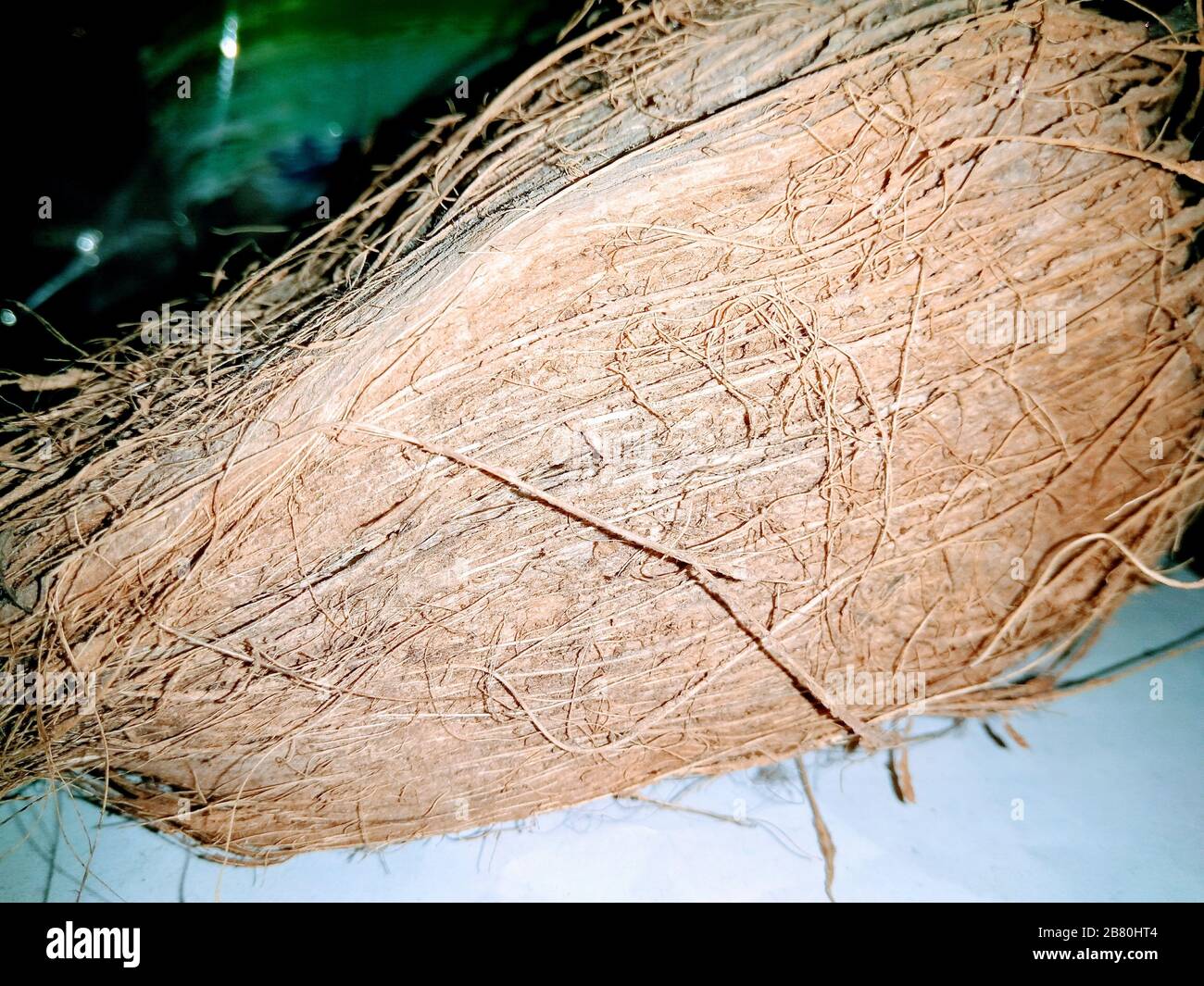 Un'immagine di noci di cocco Foto Stock