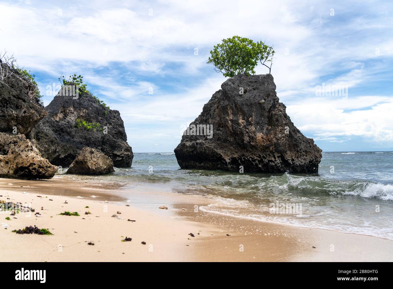 Albero unico che cresce su una roccia nell'oceano sulla spiaggia di Bingin, Bali - Indonesia Foto Stock