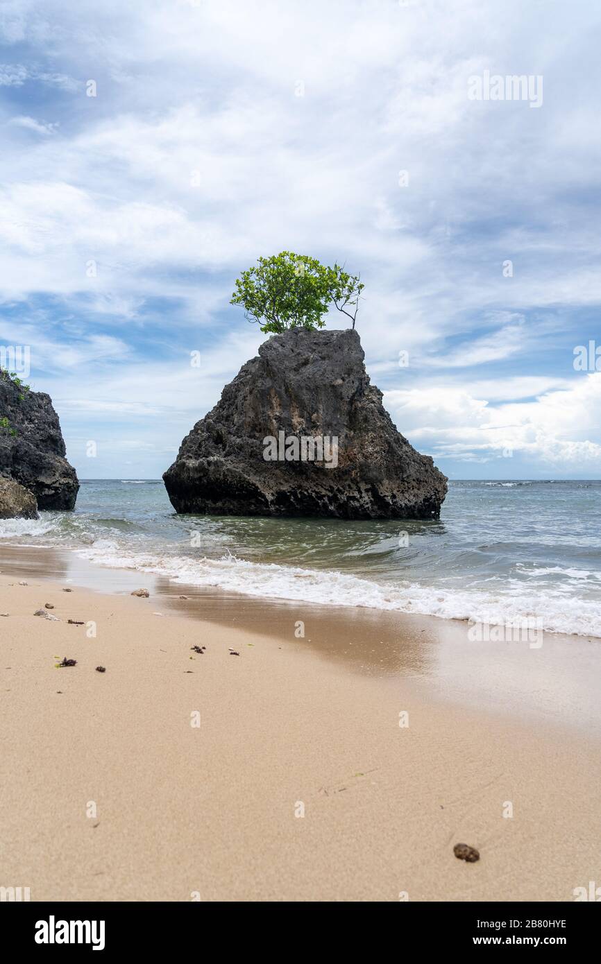 Albero unico che cresce su una roccia triangolare nell'oceano sulla spiaggia di Bingin, Bali - Indonesia Foto Stock