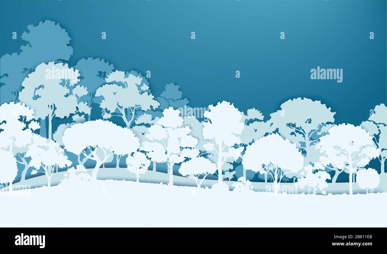 bianco alberi di foresta sfondo paesaggio Foto Stock