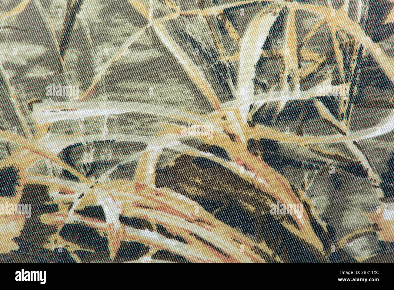 immagine di un modello vegetale su un tessuto verde Foto Stock